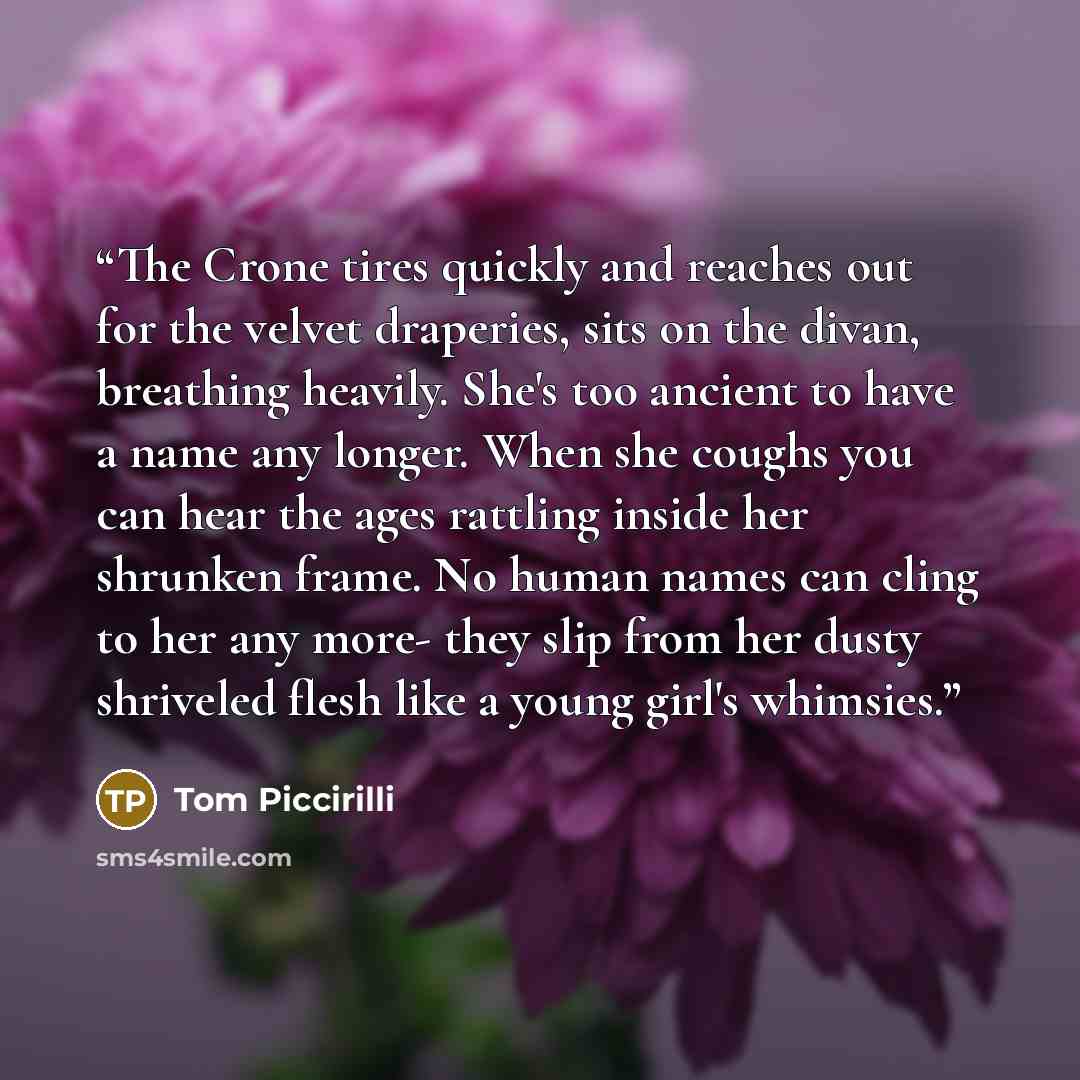 “The Crone tires quickly and reaches out for the velvet draperies, sits on the divan, breathing heavily. She's too ancient to have a name any longer. When she coughs you can hear the ages rattling inside her shrunken frame. No human names can cling to her any more- they slip from her dusty…” quote by Tom Piccirilli