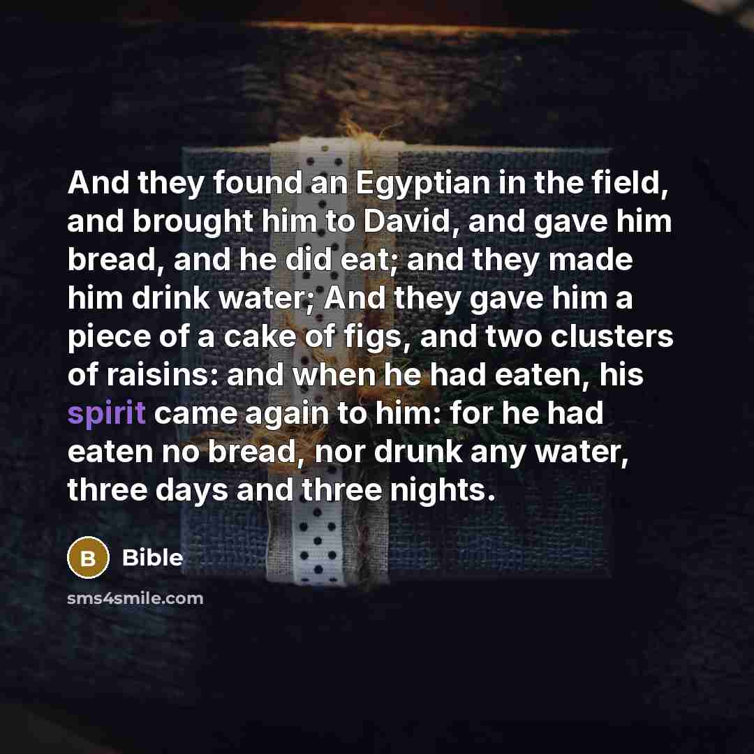 “And they found an Egyptian in the field, and brought him to David, and gave him bread, and he did eat; and they made him drink water; And they gave him a piece of a cake of figs, and two clusters of raisins: and when he had eaten, his spirit came again to him: for he had eaten no bread, nor drunk…” quote by Bible