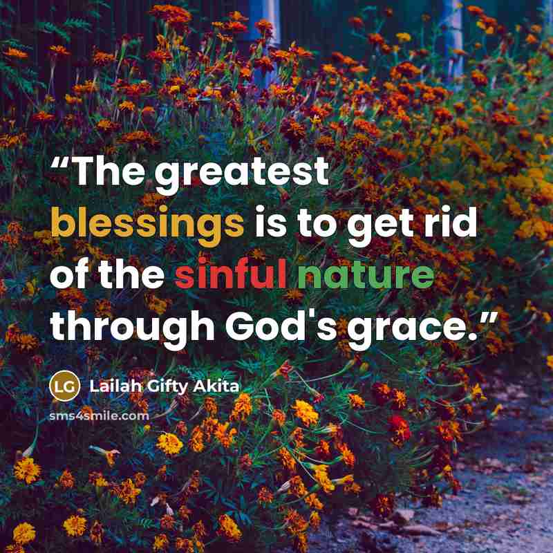 “The greatest blessings is to get rid of the sinful nature through God's grace.” quote by Lailah Gifty Akita