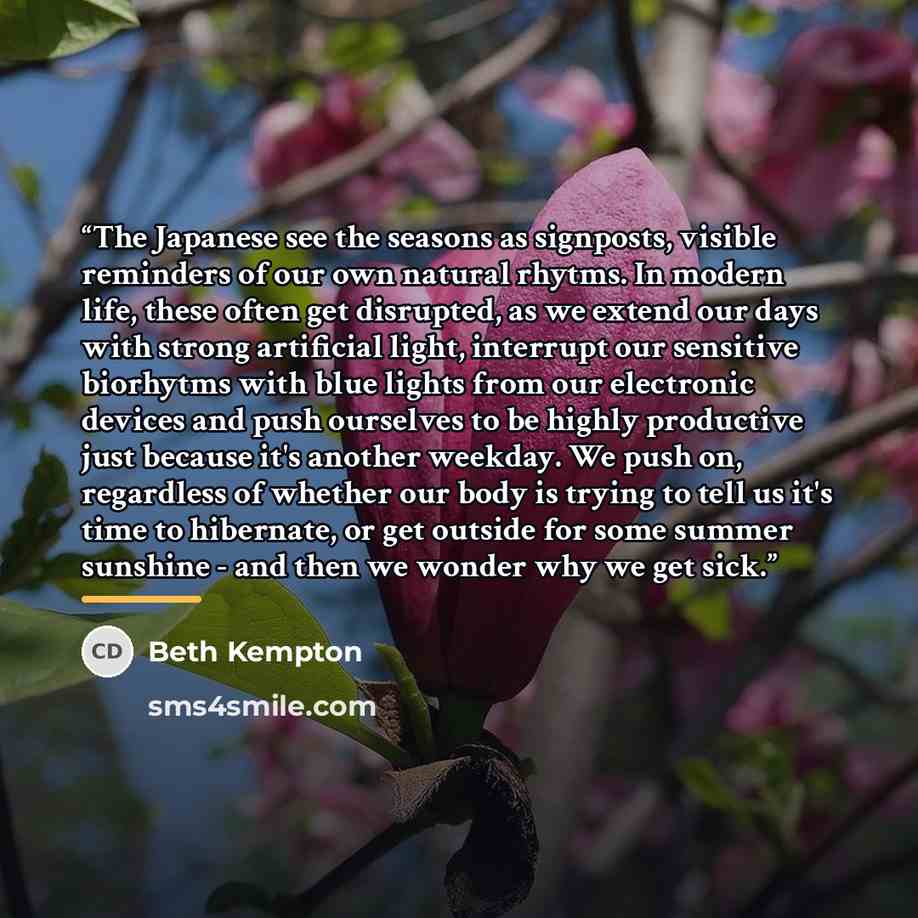 “The Japanese see the seasons as signposts, visible reminders of our own natural rhytms. In modern life, these often get disrupted, as we extend our days with strong artificial light, interrupt our sensitive biorhytms with blue lights from our electronic devices and push ourselves to be highly…” quote by Beth Kempton