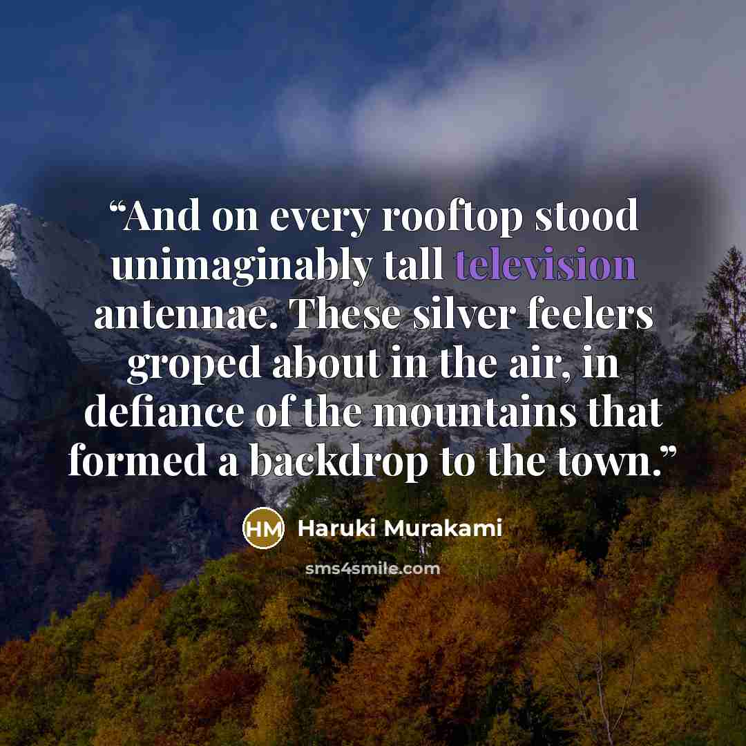 “And on every rooftop stood unimaginably tall television antennae. These silver feelers groped about in the air, in defiance of the mountains that formed a backdrop to the town.” quote by Haruki Murakami