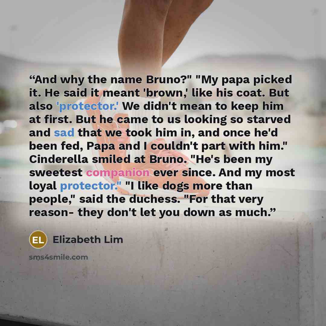 “And why the name Bruno?" "My papa picked it. He said it meant 'brown,' like his coat. But also 'protector.' We didn't mean to keep him at first. But he came to us looking so starved and sad that we took him in, and once he'd been fed, Papa and I couldn't part with him." Cinderella smiled at Bruno…” quote by Elizabeth Lim