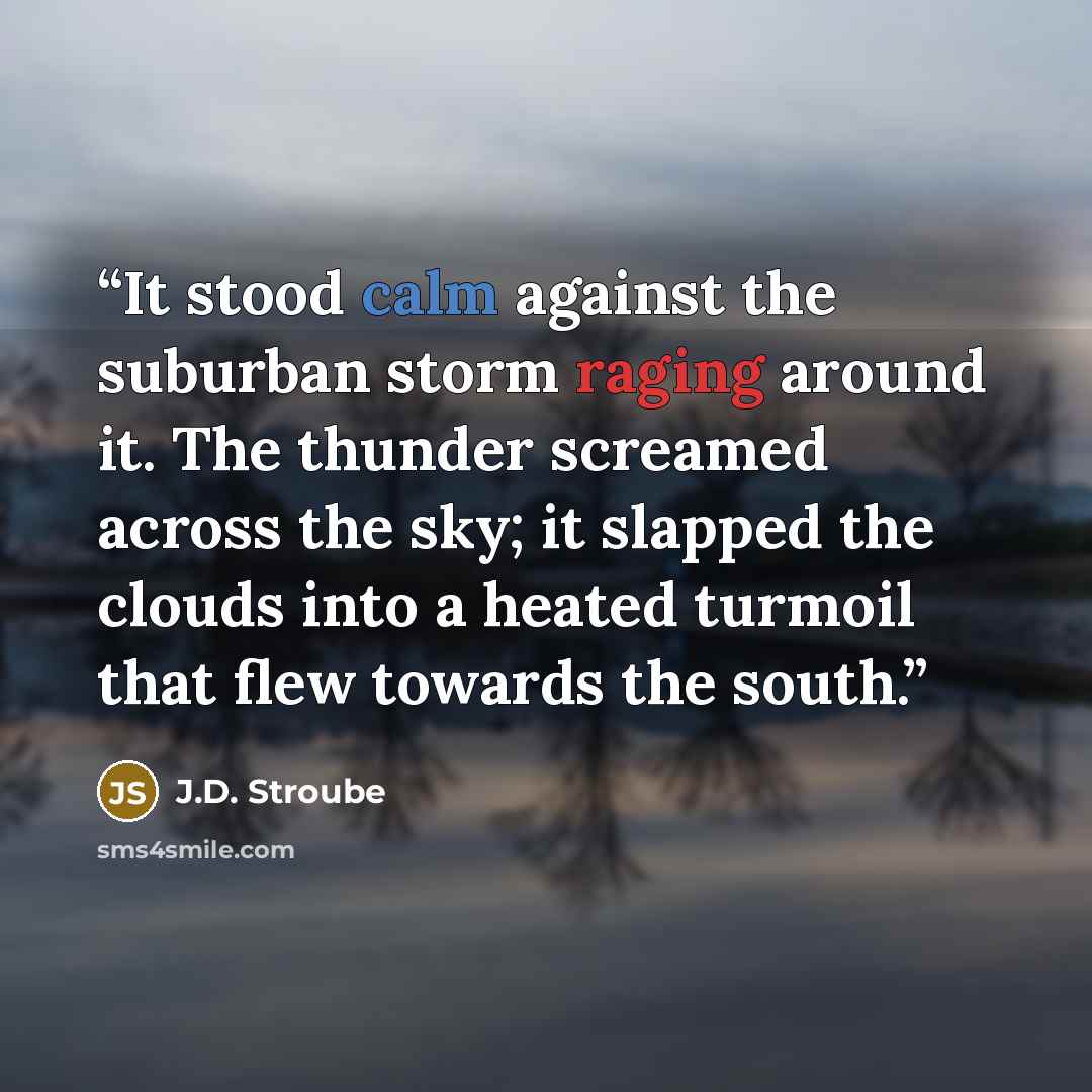 “It stood calm against the suburban storm raging around it. The thunder screamed across the sky; it slapped the clouds into a heated turmoil that flew towards the south.” quote by J.D. Stroube