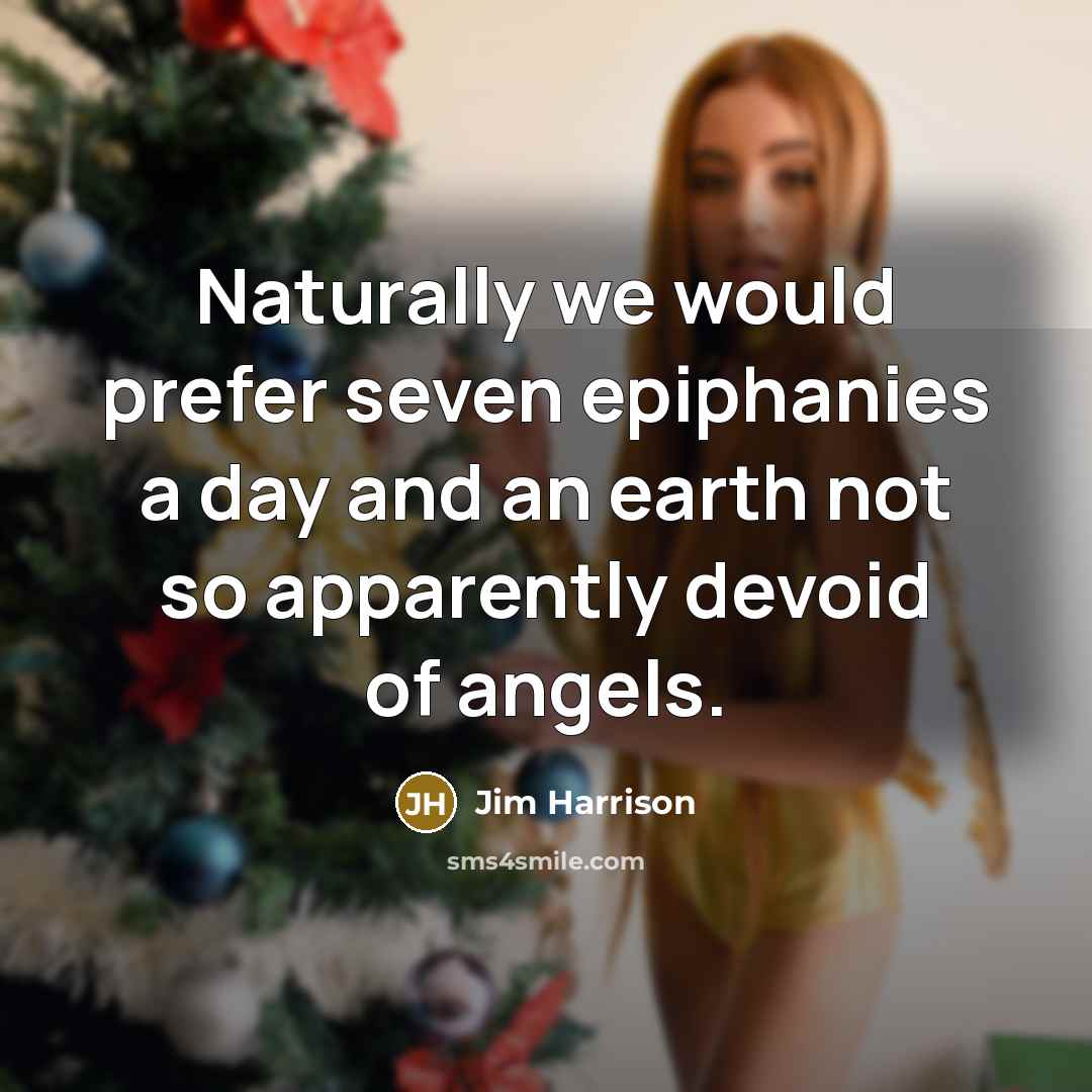 “Naturally we would prefer seven epiphanies a day and an earth not so apparently devoid of angels.” quote by Jim Harrison