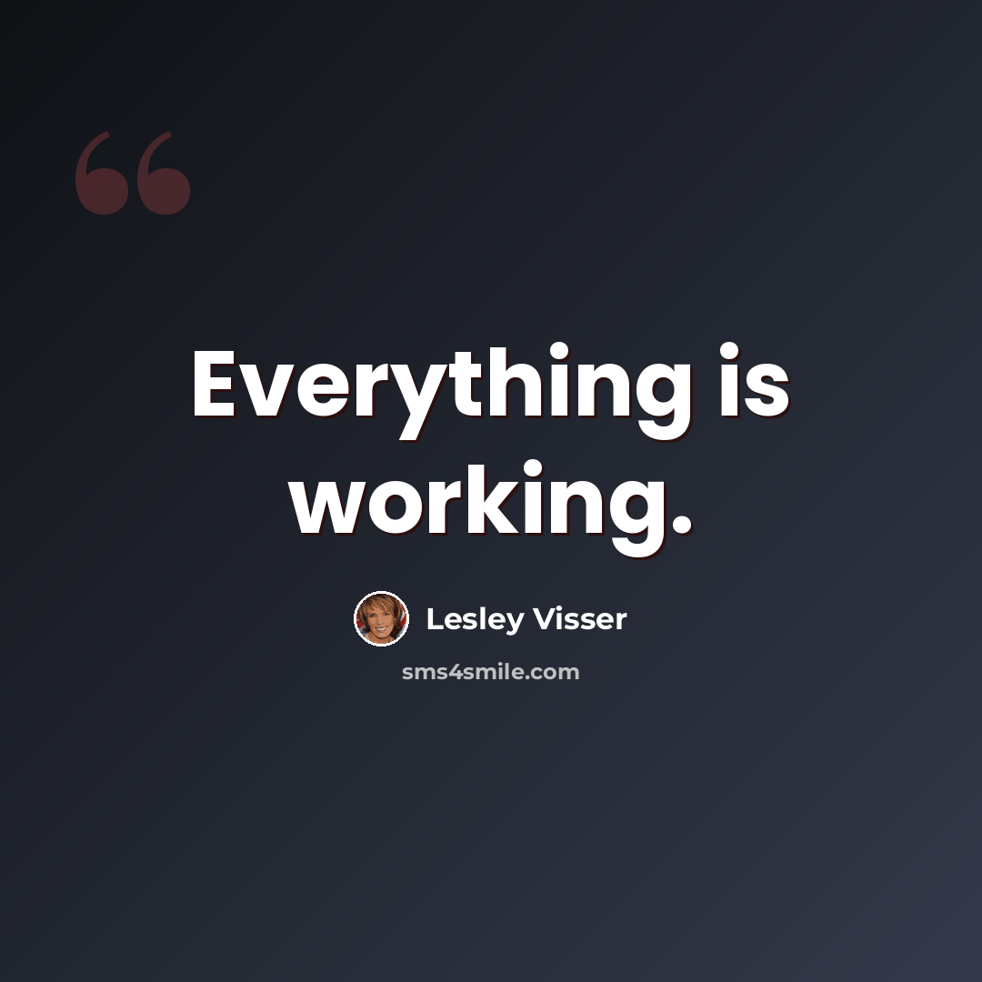 “Everything is working.” quote by Lesley Visser