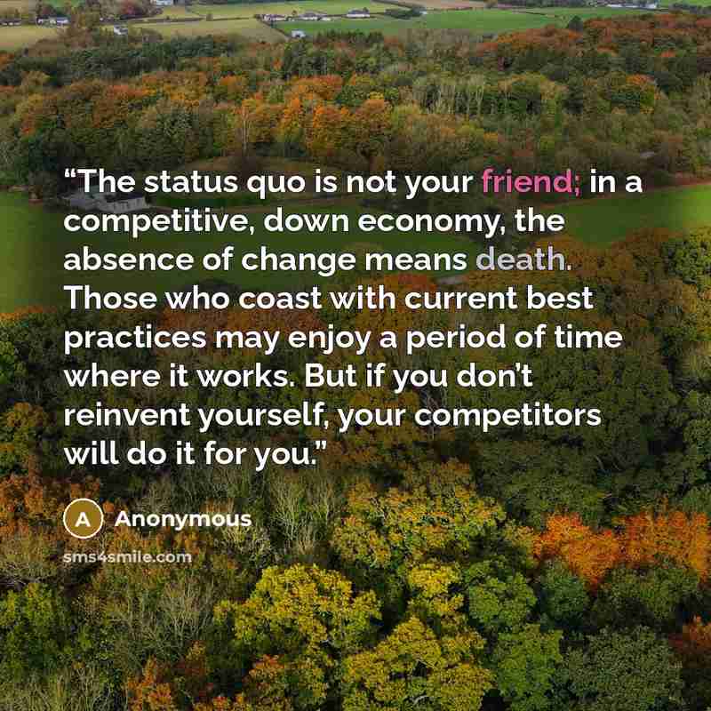 “The status quo is not your friend; in a competitive, down economy, the absence of change means death. Those who coast with current best practices may enjoy a period of time where it works. But if you don’t reinvent yourself, your competitors will do it for you.” quote by Anonymous