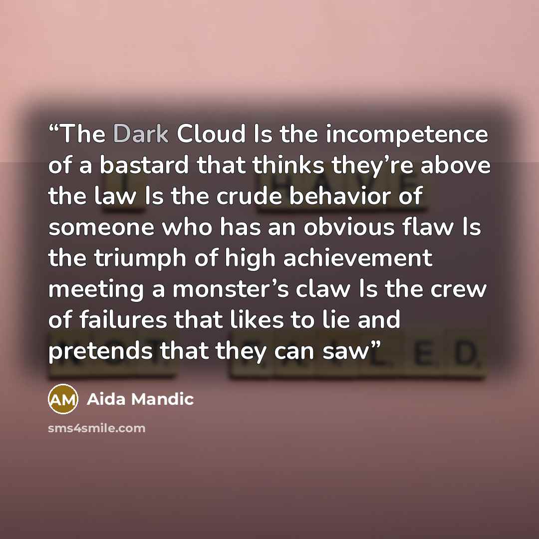 “The Dark Cloud Is the incompetence of a bastard that thinks they’re above the law Is the crude behavior of someone who has an obvious flaw Is the triumph of high achievement meeting a monster’s claw Is the crew of failures that likes to lie and pretends that they can saw” quote by Aida Mandic