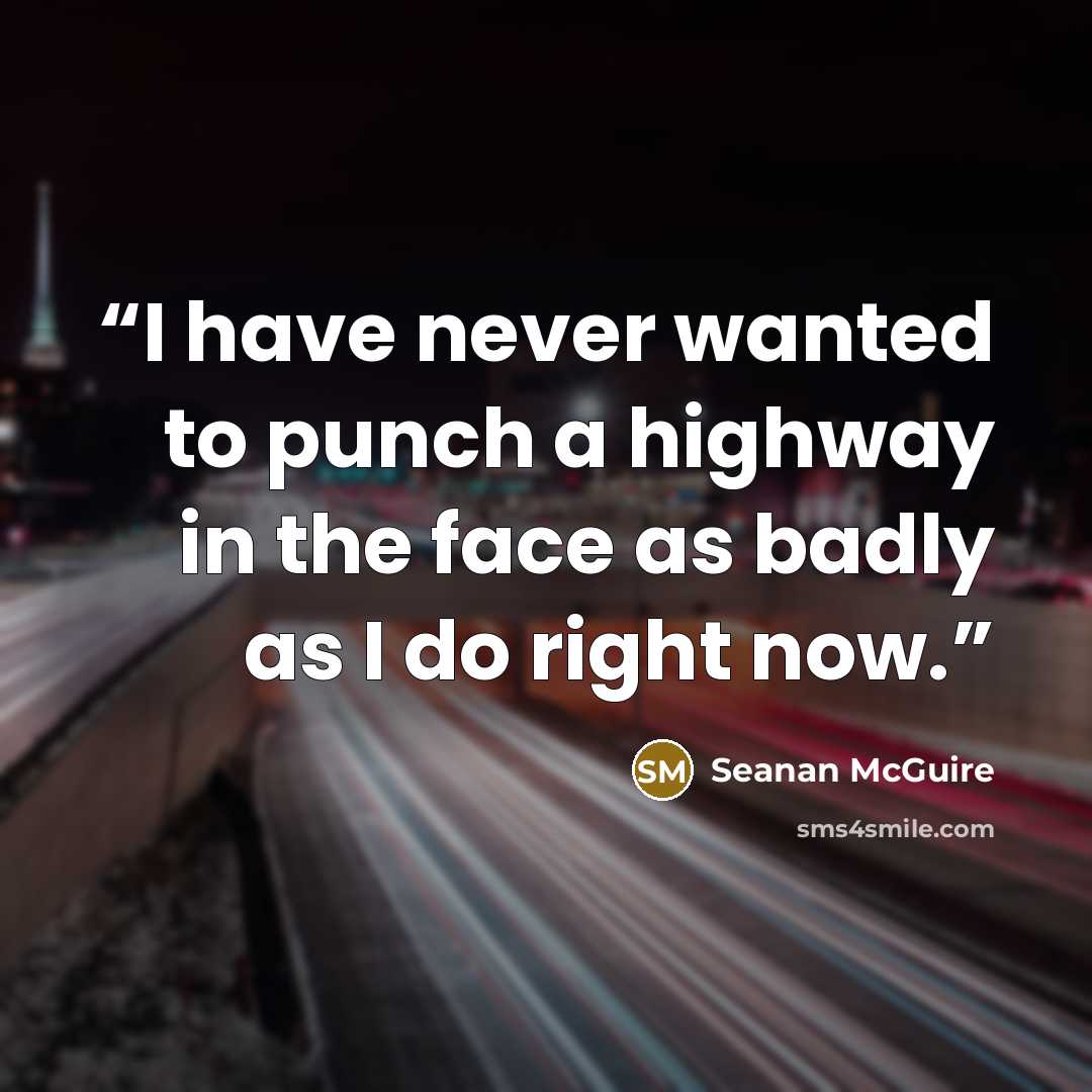 “I have never wanted to punch a highway in the face as badly as I do right now.” quote by Seanan McGuire