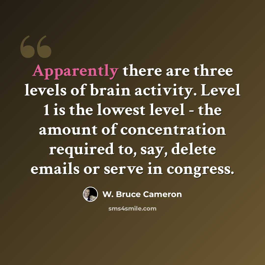 “Apparently there are three levels of brain activity. Level 1 is the lowest level - the amount of concentration required to, say, delete emails or serve in congress.” quote by W. Bruce Cameron