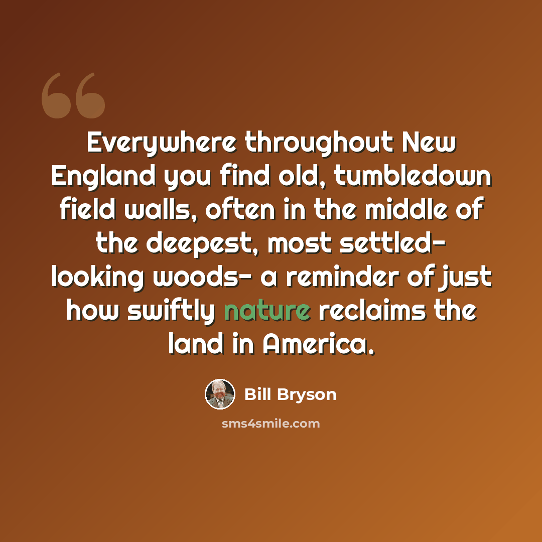 “Everywhere throughout New England you find old, tumbledown field walls, often in the middle of the deepest, most settled- looking woods- a reminder of just how swiftly nature reclaims the land in America.” quote by Bill Bryson