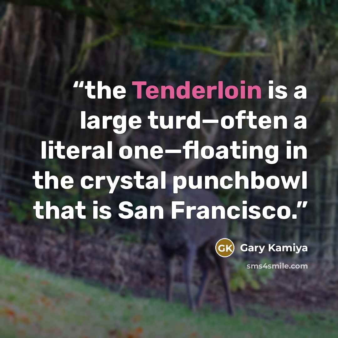 “the Tenderloin is a large turd—often a literal one—floating in the crystal punchbowl that is San Francisco.” quote by Gary Kamiya