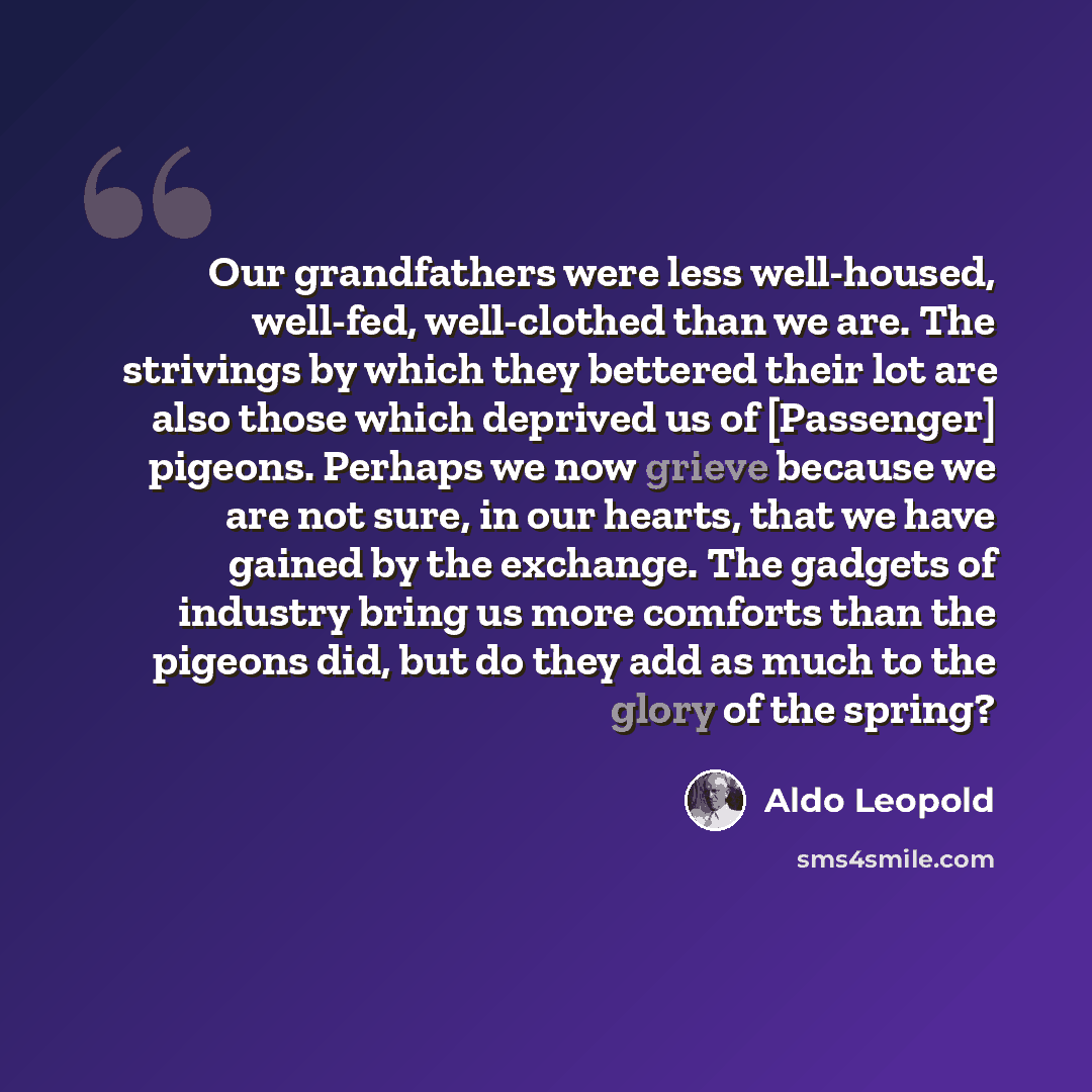 “Our grandfathers were less well-housed, well-fed, well-clothed than we are. The strivings by which they bettered their lot are also those which deprived us of [Passenger] pigeons. Perhaps we now grieve because we are not sure, in our hearts, that we have gained by the exchange. The gadgets of…” quote by Aldo Leopold