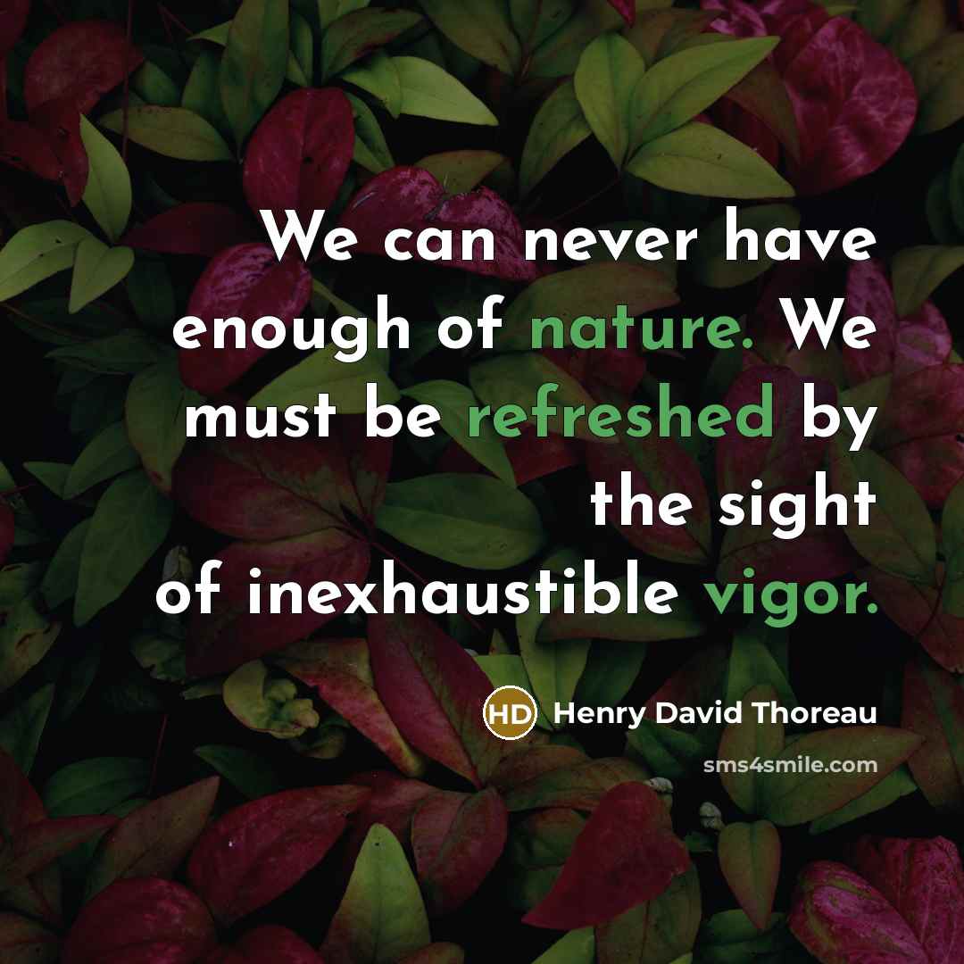 “We can never have enough of nature. We must be refreshed by the sight of inexhaustible vigor.” quote by Henry David Thoreau