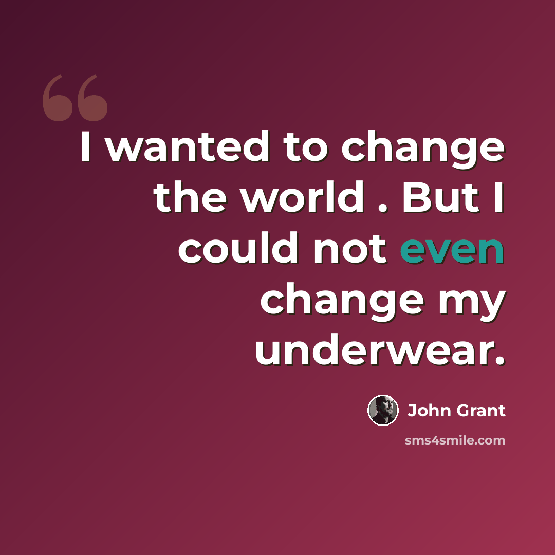 “I wanted to change the world . But I could not even change my underwear.” quote by John Grant