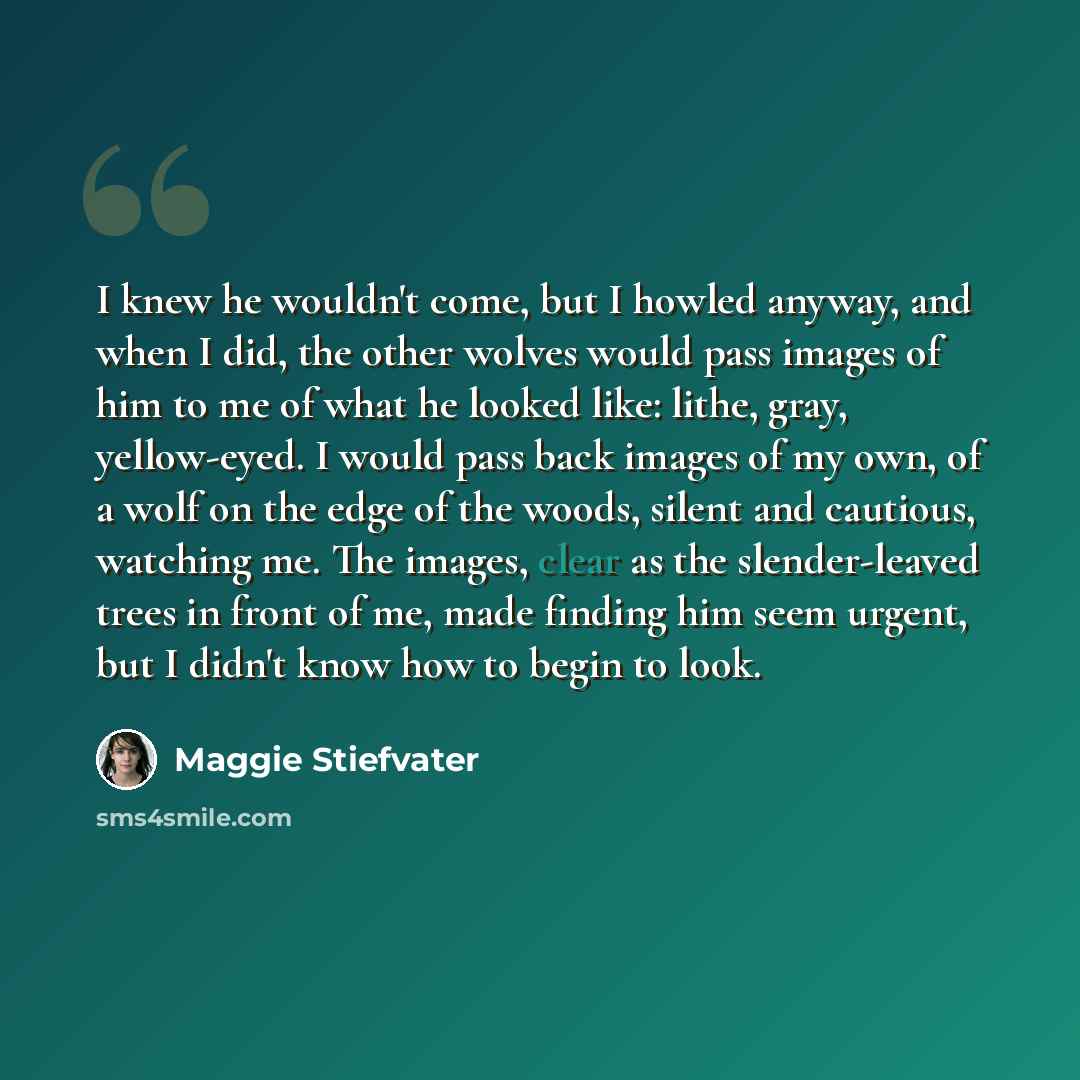 “I knew he wouldn't come, but I howled anyway, and when I did, the other wolves would pass images of him to me of what he looked like: lithe, gray, yellow-eyed. I would pass back images of my own, of a wolf on the edge of the woods, silent and cautious, watching me. The images, clear as the…” quote by Maggie Stiefvater