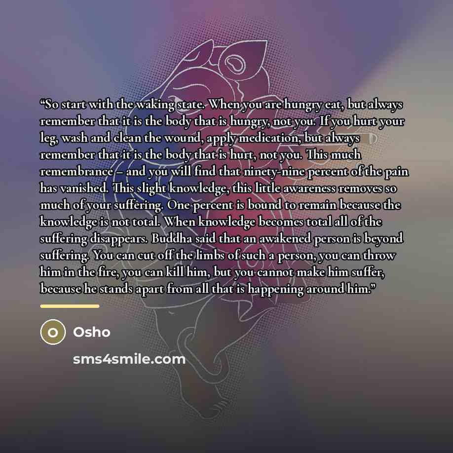 “So start with the waking state. When you are hungry eat, but always remember that it is the body that is hungry, not you. If you hurt your leg, wash and clean the wound, apply medication, but always remember that it is the body that is hurt, not you. This much remembrance – and you will find that…” quote by Osho