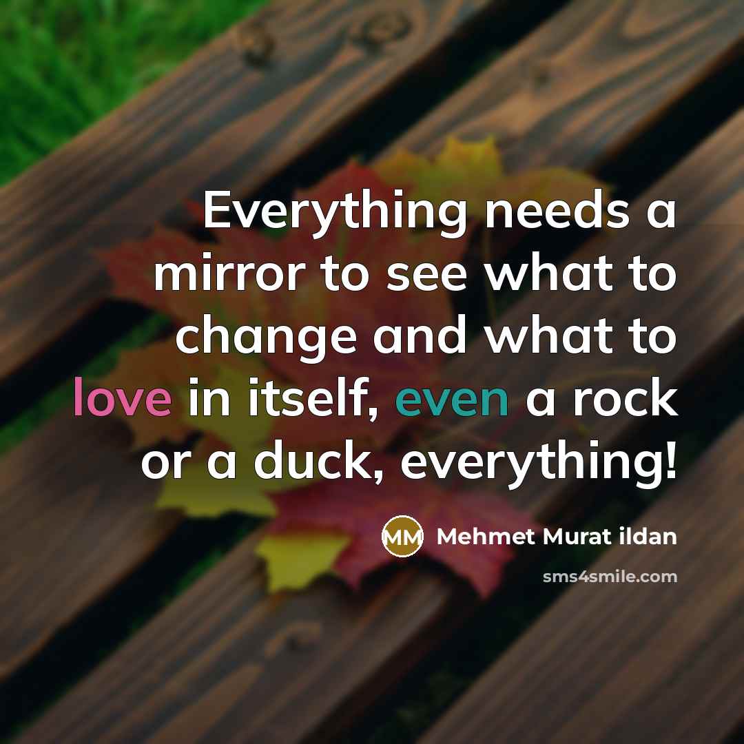 “Everything needs a mirror to see what to change and what to love in itself, even a rock or a duck, everything!” quote by Mehmet Murat Ildan