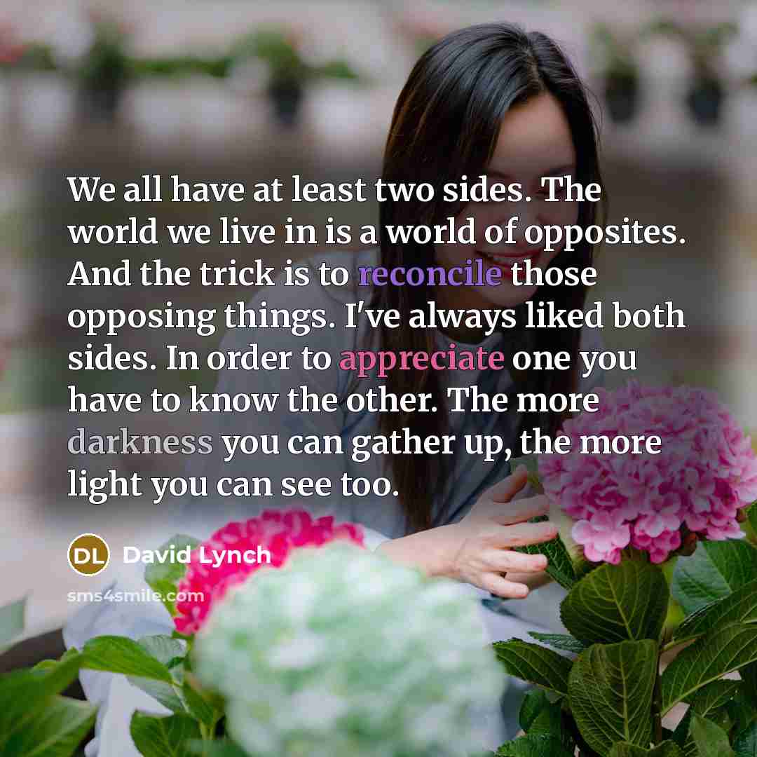 “We all have at least two sides. The world we live in is a world of opposites. And the trick is to reconcile those opposing things. I've always liked both sides. In order to appreciate one you have to know the other. The more darkness you can gather up, the more light you can see too.” quote by David Lynch