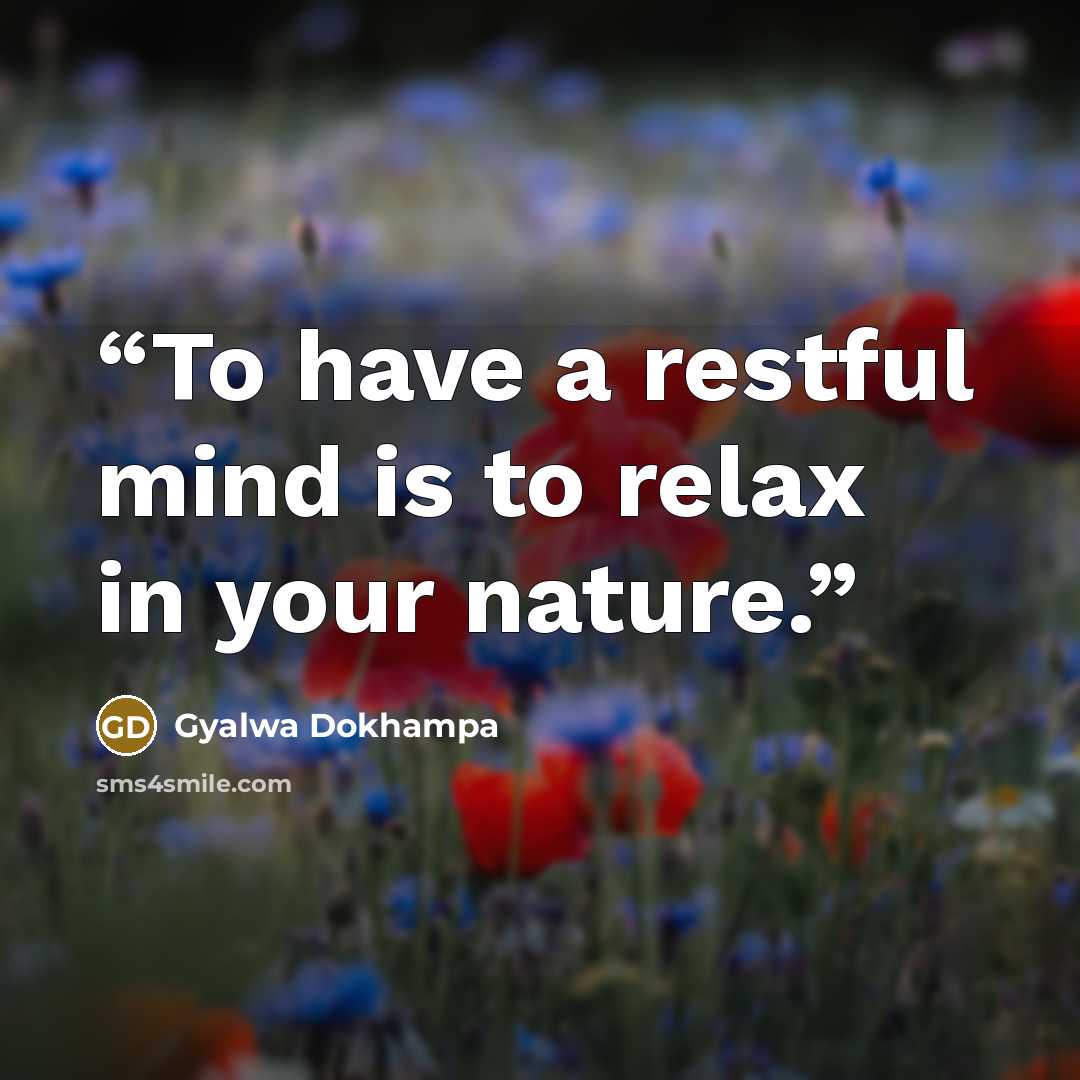 “To have a restful mind is to relax in your nature.” quote by Gyalwa Dokhampa