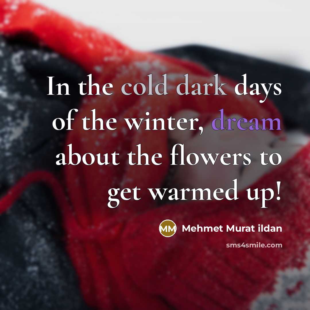 “In the cold dark days of the winter, dream about the flowers to get warmed up!” quote by Mehmet Murat Ildan