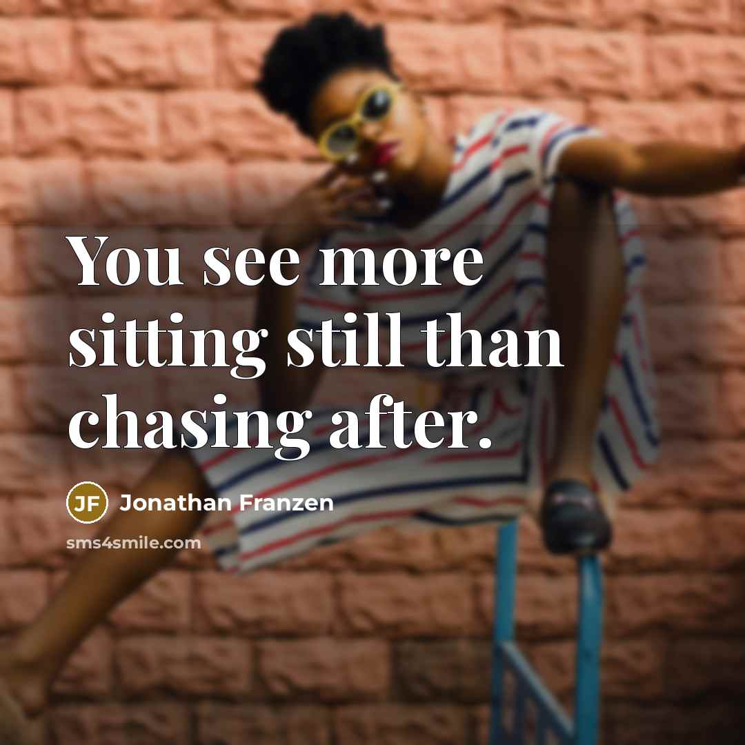“You see more sitting still than chasing after.” quote by Jonathan Franzen