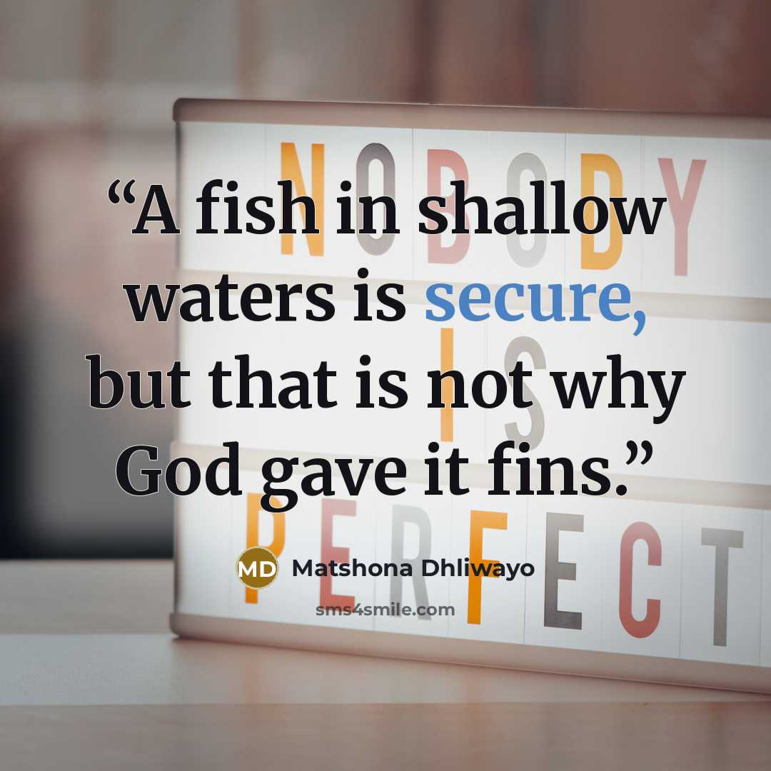 “A fish in shallow waters is secure, but that is not why God gave it fins.” quote by Matshona Dhliwayo