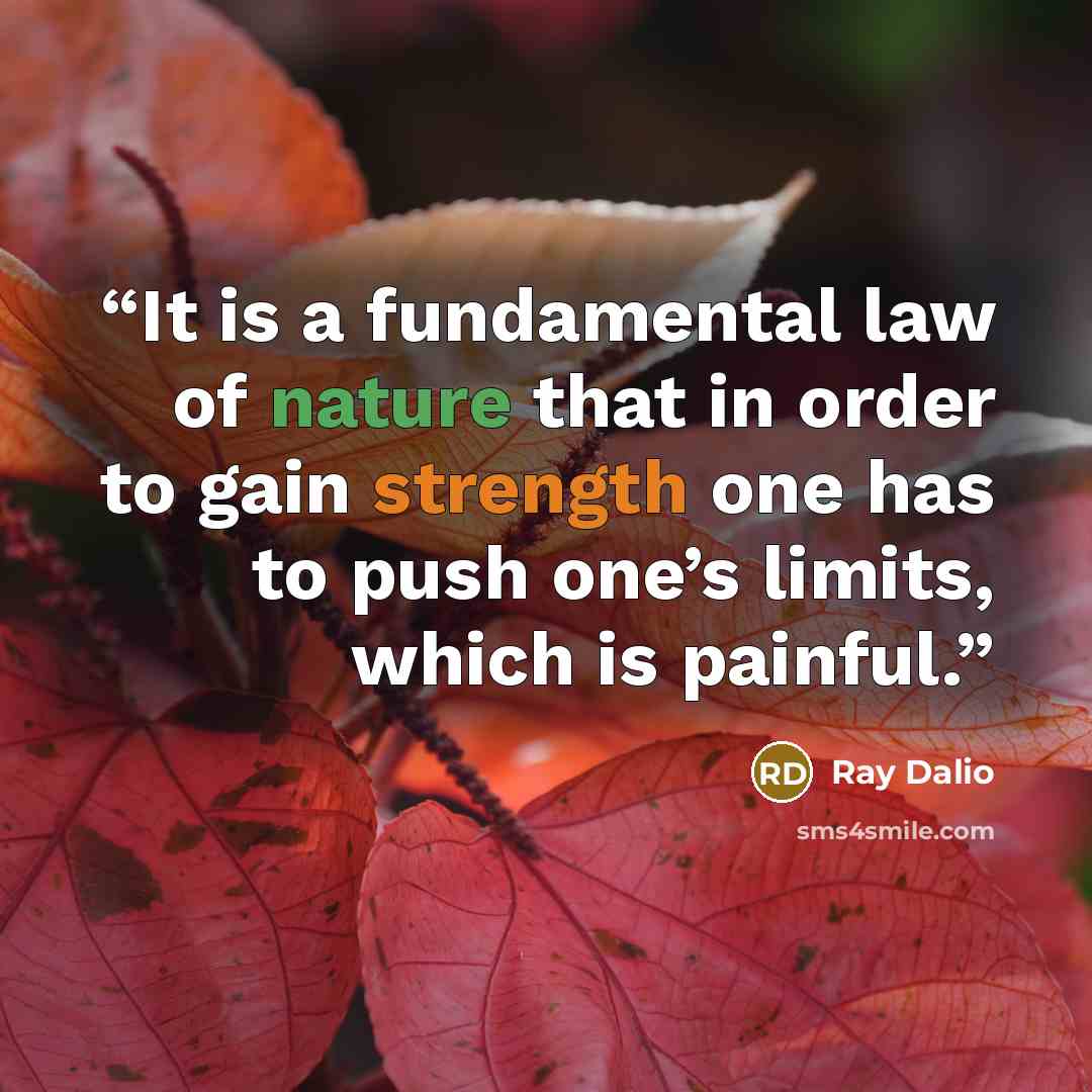 “It is a fundamental law of nature that in order to gain strength one has to push one’s limits, which is painful.” quote by Ray Dalio