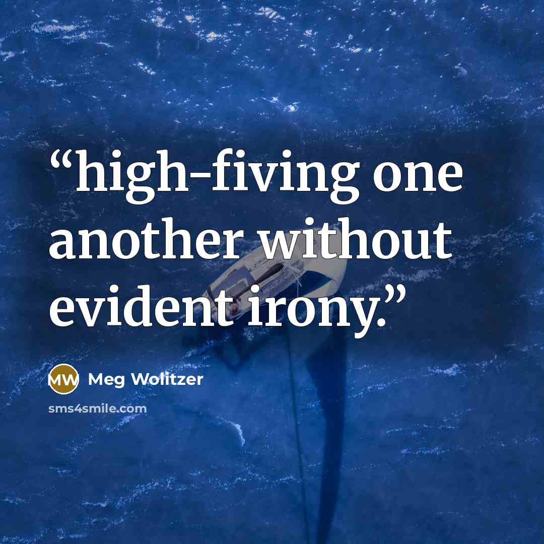 “high-fiving one another without evident irony.” quote by Meg Wolitzer