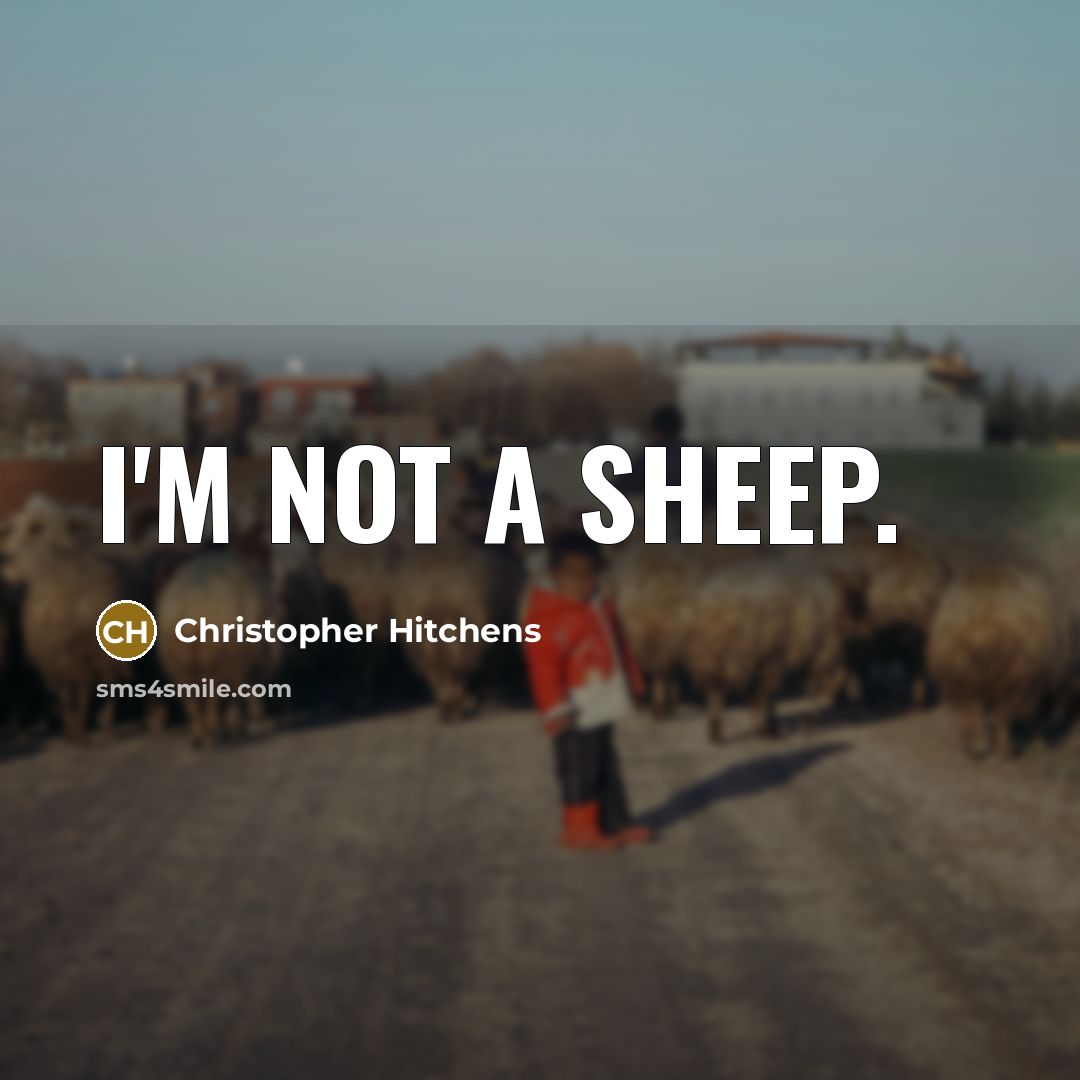 “I'm not a sheep.” quote by Christopher Hitchens
