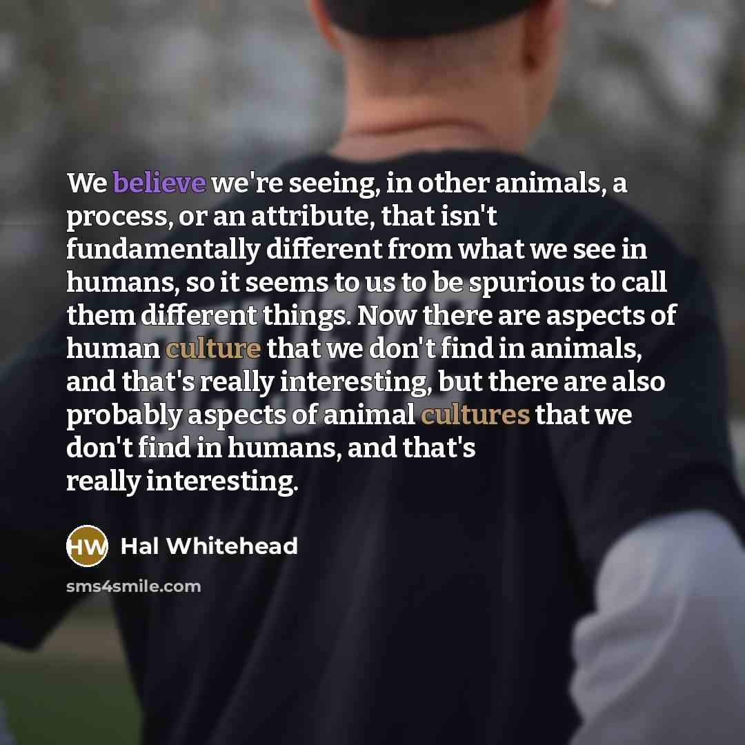 “We believe we're seeing, in other animals, a process, or an attribute, that isn't fundamentally different from what we see in humans, so it seems to us to be spurious to call them different things. Now there are aspects of human culture that we don't find in animals, and that's really interesting…” quote by Hal Whitehead