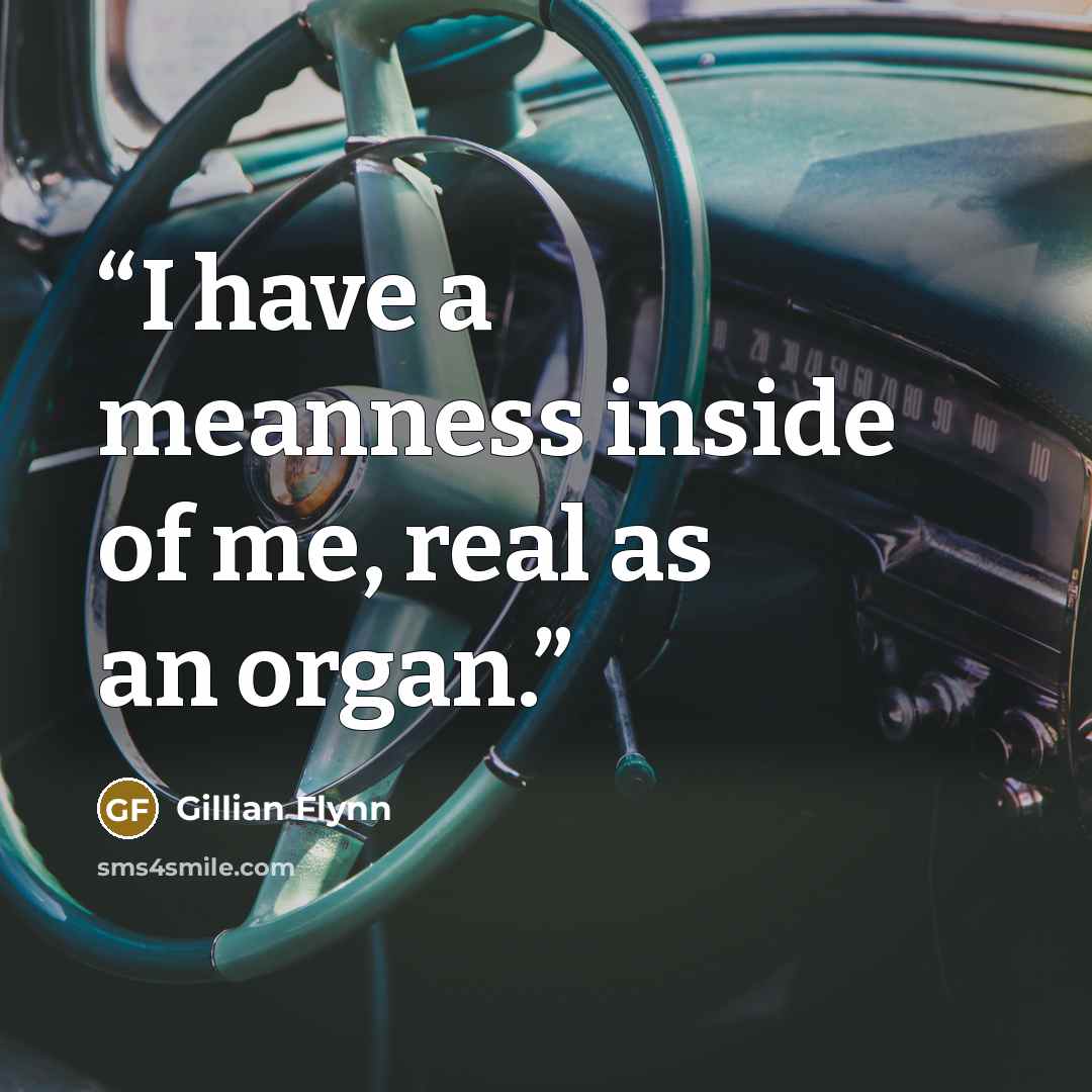 “I have a meanness inside of me, real as an organ.” quote by Gillian Flynn