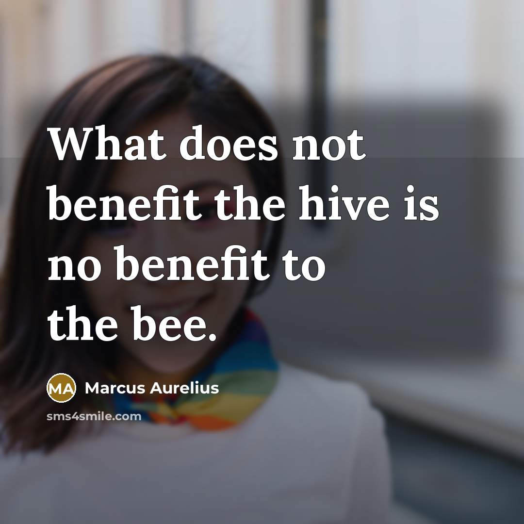 “What does not benefit the hive is no benefit to the bee.” quote by Marcus Aurelius