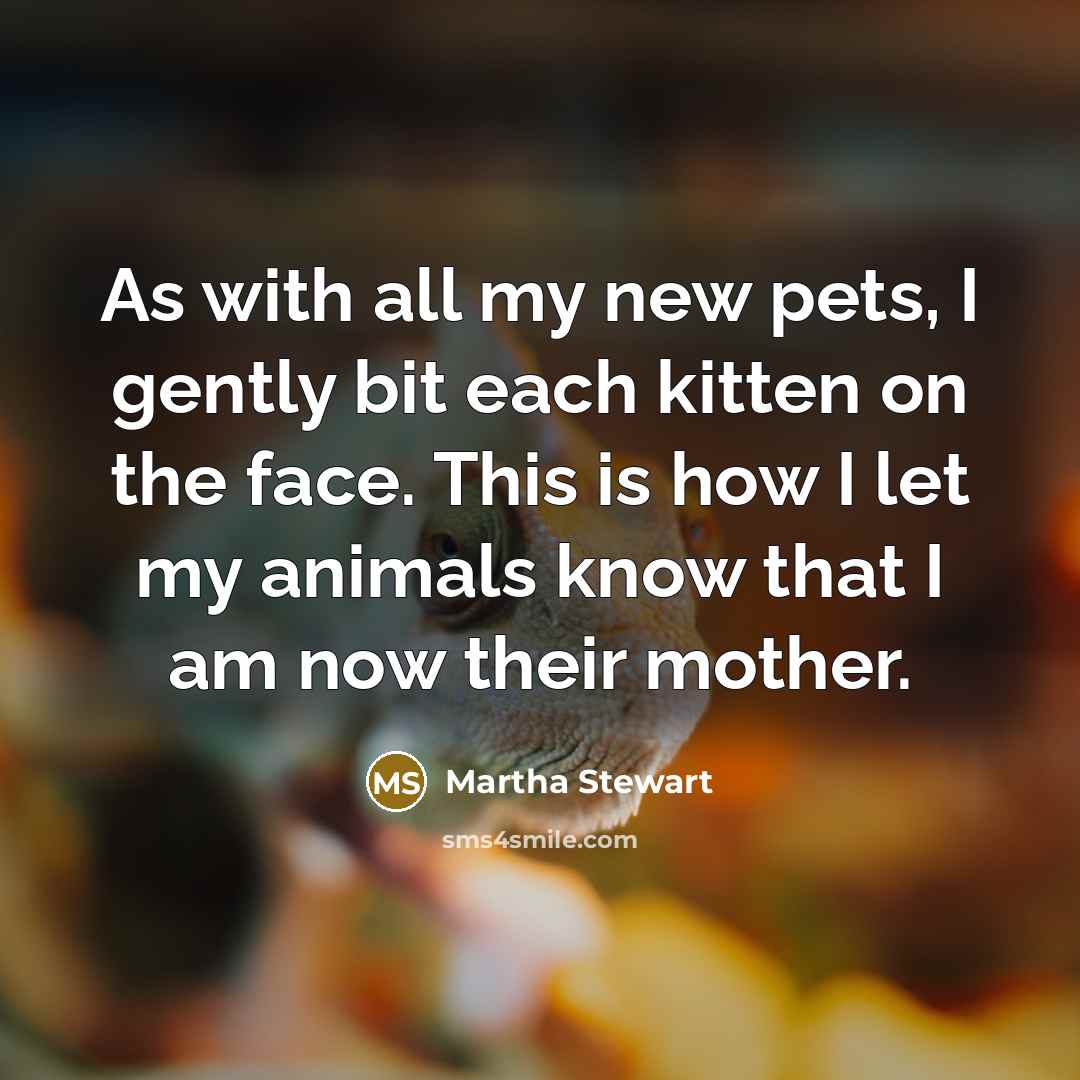“As with all my new pets, I gently bit each kitten on the face. This is how I let my animals know that I am now their mother.” quote by Martha Stewart