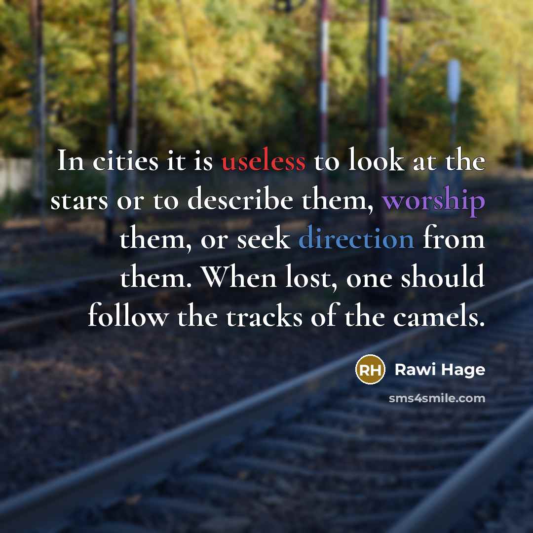 “In cities it is useless to look at the stars or to describe them, worship them, or seek direction from them. When lost, one should follow the tracks of the camels.” quote by Rawi Hage