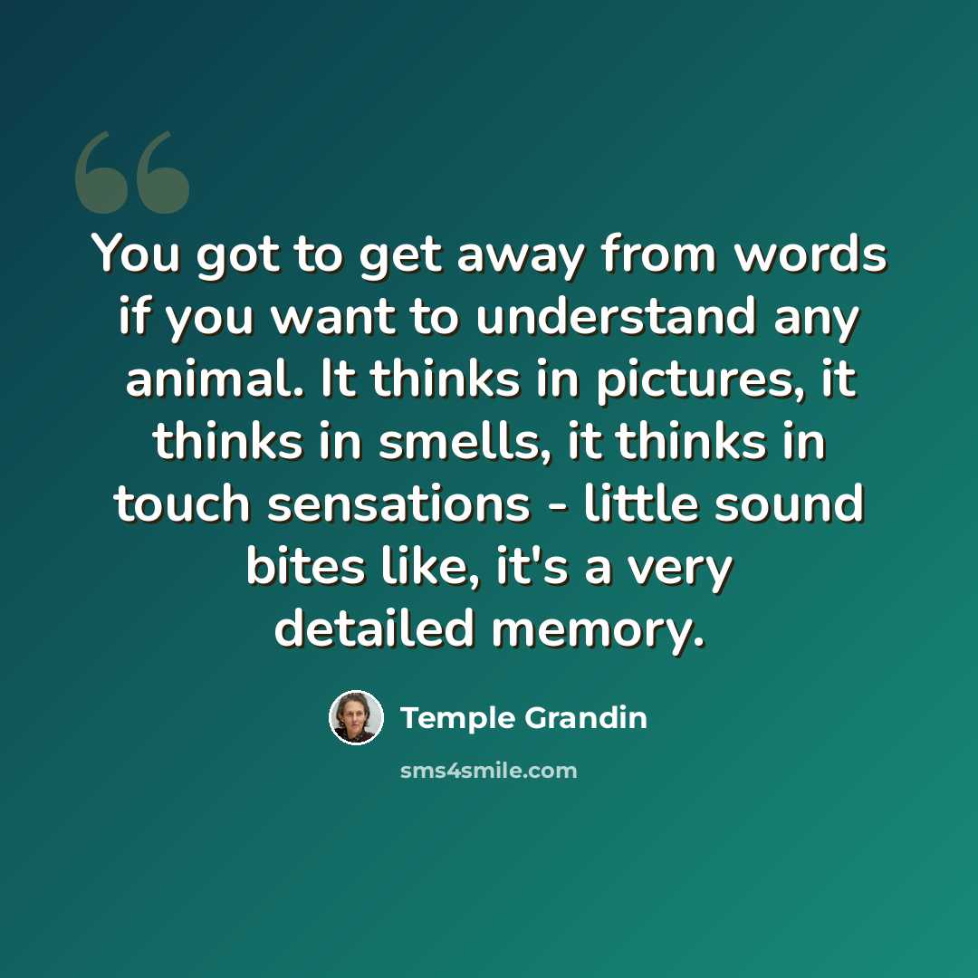 “You got to get away from words if you want to understand any animal. It thinks in pictures, it thinks in smells, it thinks in touch sensations - little sound bites like, it's a very detailed memory.” quote by Temple Grandin