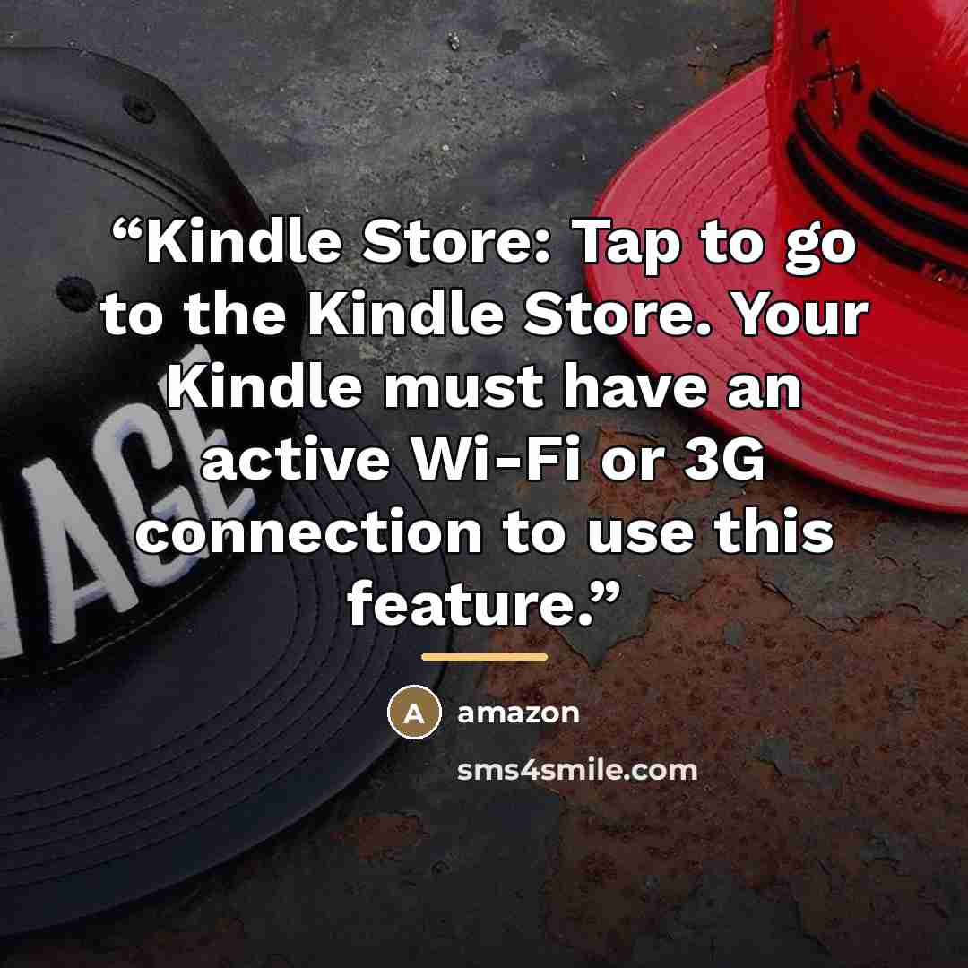 “Kindle Store: Tap to go to the Kindle Store. Your Kindle must have an active Wi-Fi or 3G connection to use this feature.” quote by Amazon