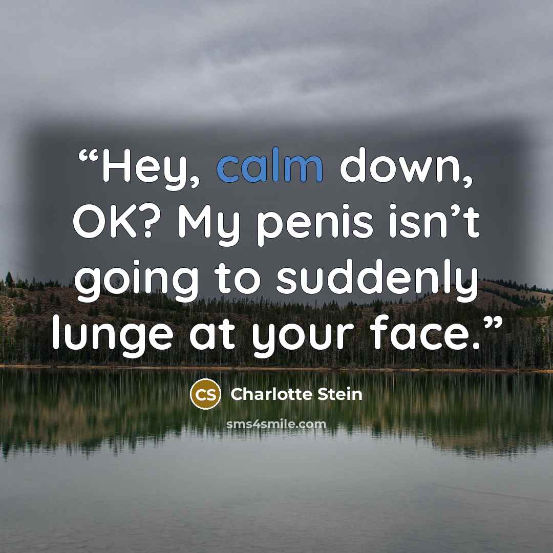 “Hey, calm down, OK? My penis isn’t going to suddenly lunge at your face.” quote by Charlotte Stein