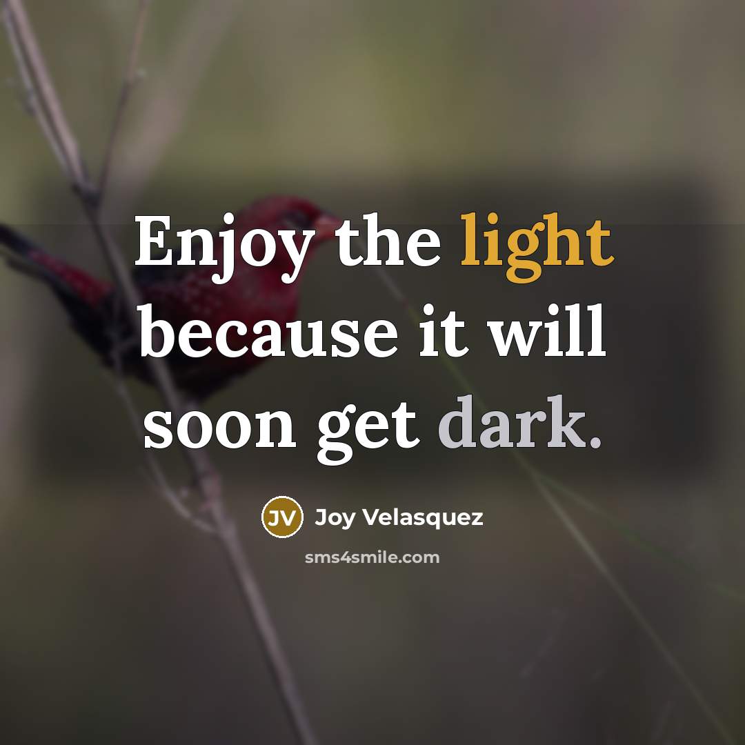 “Enjoy the light because it will soon get dark.” quote by Joy Velasquez