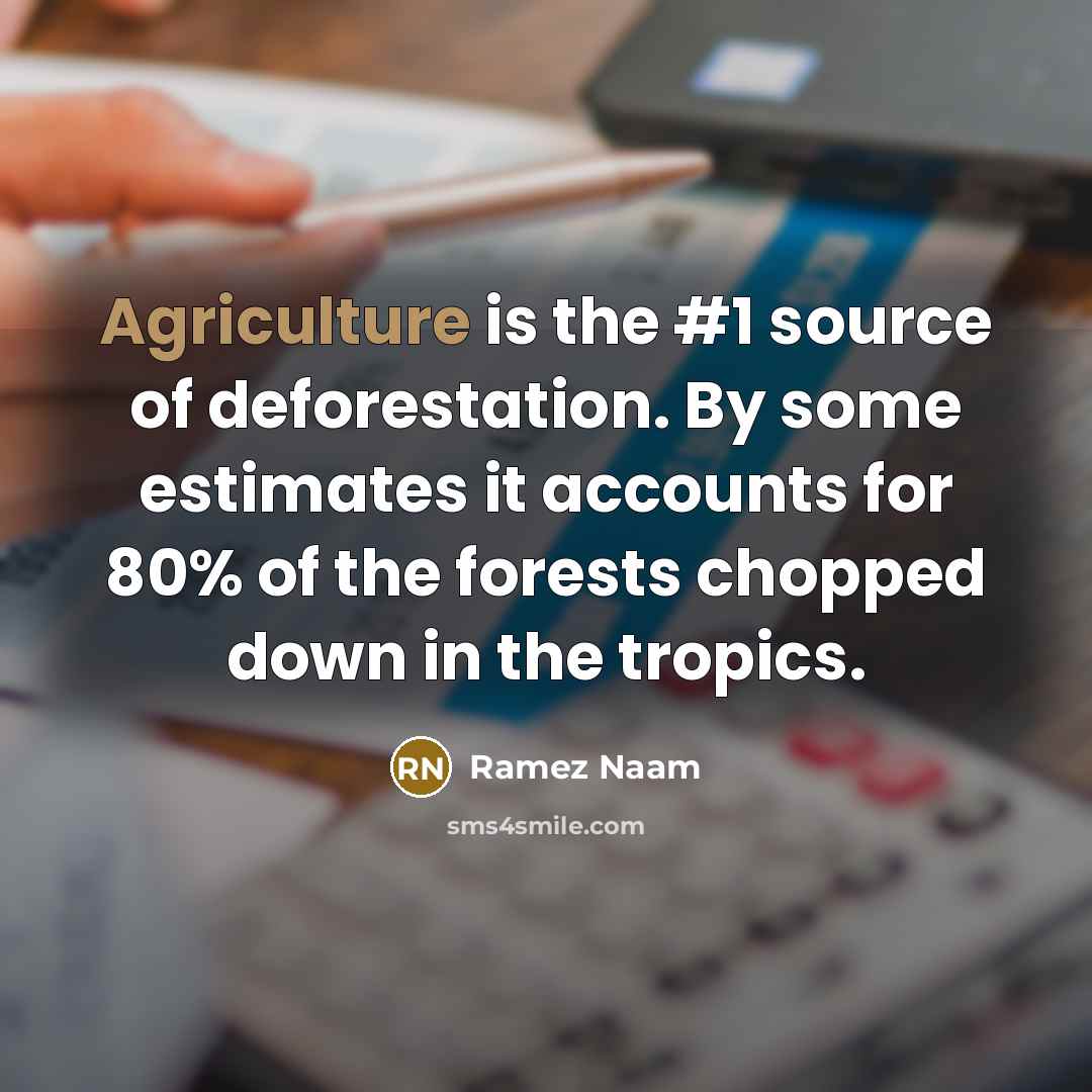 “Agriculture is the #1 source of deforestation. By some estimates it accounts for 80% of the forests chopped down in the tropics.” quote by Ramez Naam
