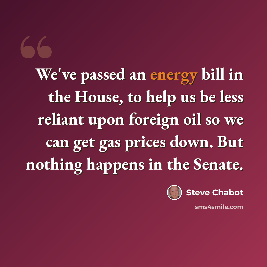 “We've passed an energy bill in the House, to help us be less reliant upon foreign oil so we can get gas prices down. But nothing happens in the Senate.” quote by Steve Chabot