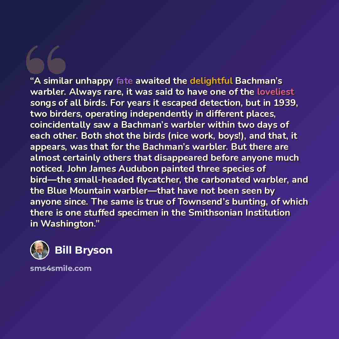 “A similar unhappy fate awaited the delightful Bachman’s warbler. Always rare, it was said to have one of the loveliest songs of all birds. For years it escaped detection, but in 1939, two birders, operating independently in different places, coincidentally saw a Bachman’s warbler within two days…” quote by Bill Bryson