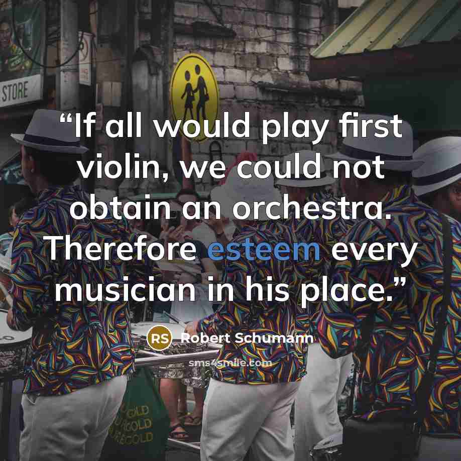 “If all would play first violin, we could not obtain an orchestra. Therefore esteem every musician in his place.” quote by Robert Schumann