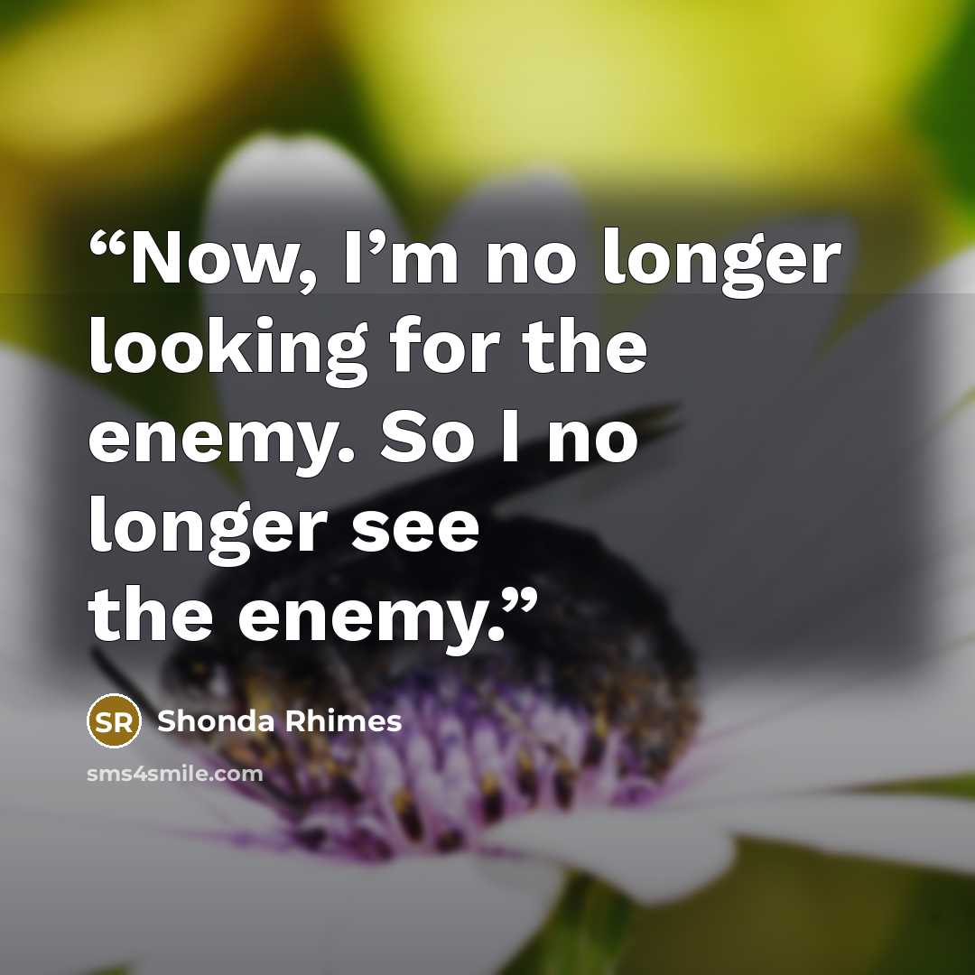 “Now, I’m no longer looking for the enemy. So I no longer see the enemy.” quote by Shonda Rhimes