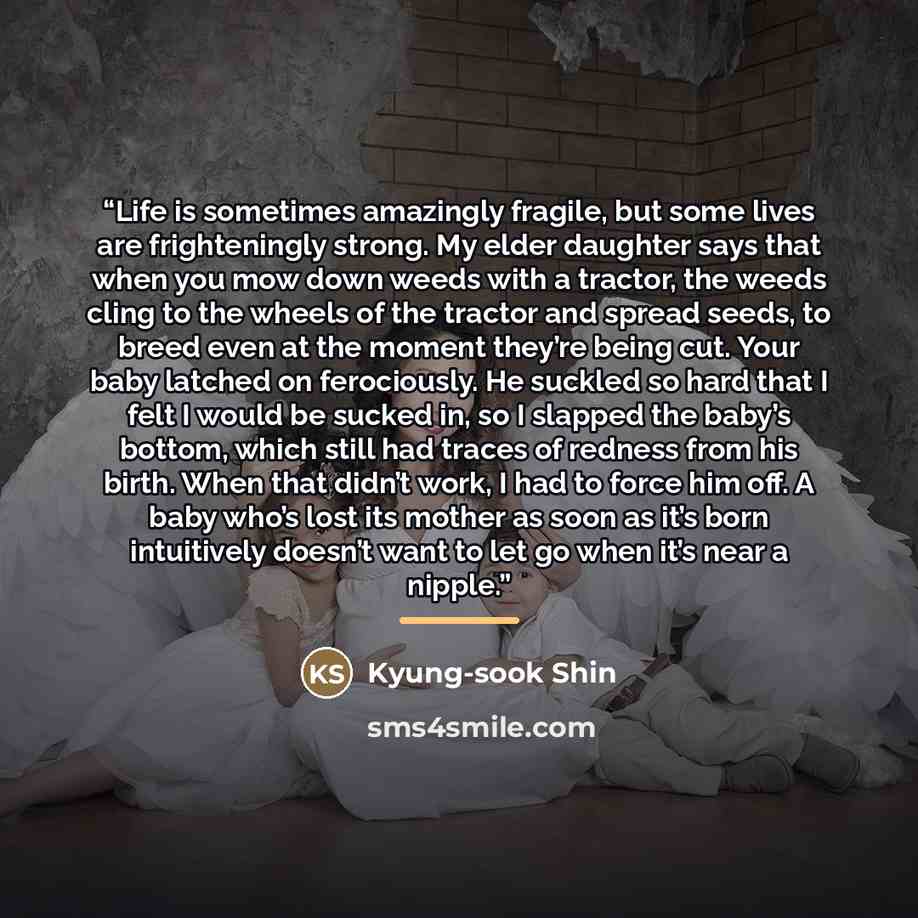 “Life is sometimes amazingly fragile, but some lives are frighteningly strong. My elder daughter says that when you mow down weeds with a tractor, the weeds cling to the wheels of the tractor and spread seeds, to breed even at the moment they’re being cut. Your baby latched on ferociously. He…” quote by Kyung-Sook Shin