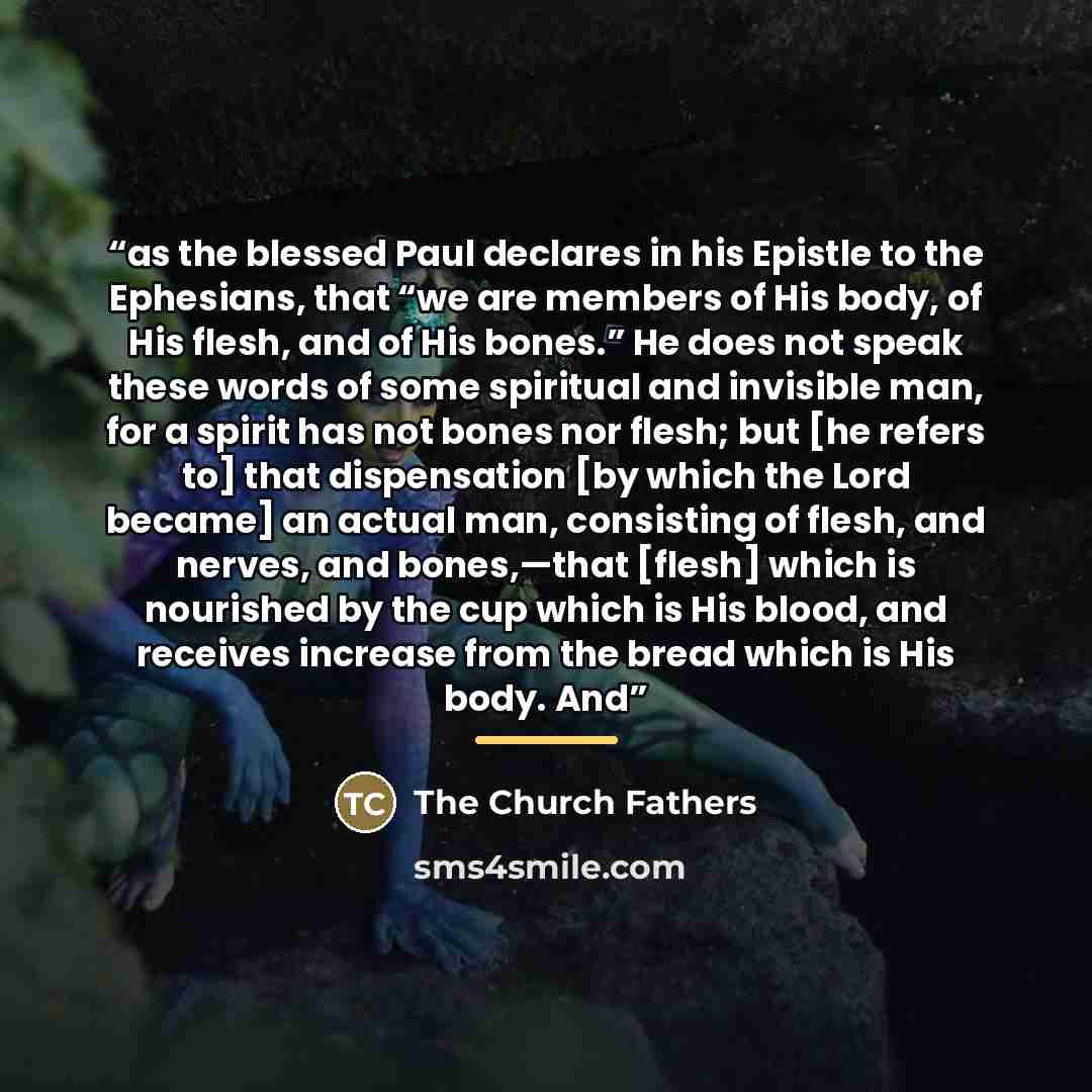 “as the blessed Paul declares in his Epistle to the Ephesians, that “we are members of His body, of His flesh, and of His bones.” He does not speak these words of some spiritual and invisible man, for a spirit has not bones nor flesh; but [he refers to] that dispensation [by which the Lord became]…” quote by The Church Fathers
