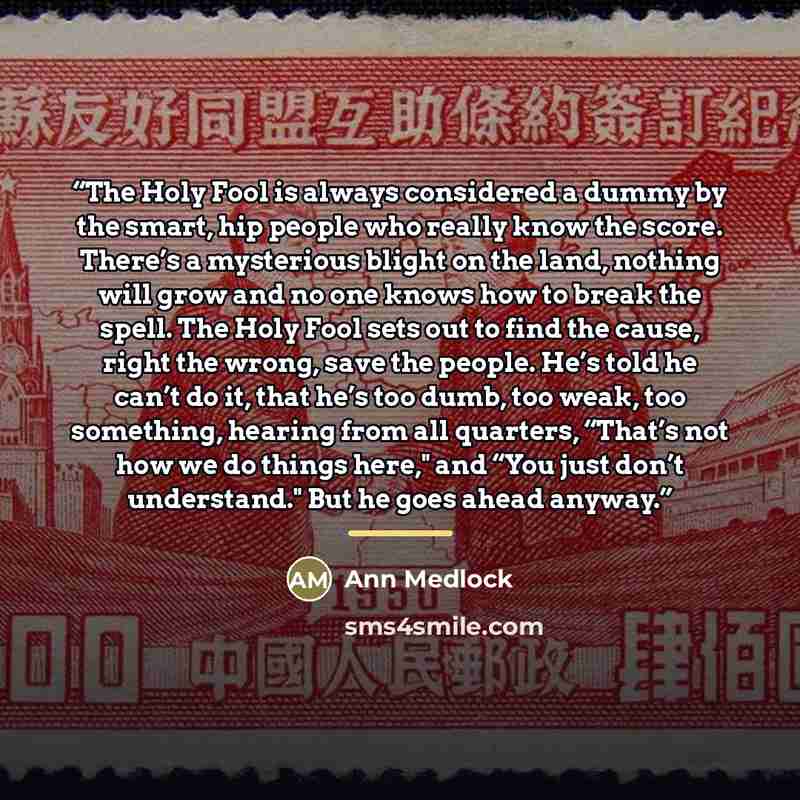 “The Holy Fool is always considered a dummy by the smart, hip people who really know the score. There’s a mysterious blight on the land, nothing will grow and no one knows how to break the spell. The Holy Fool sets out to find the cause, right the wrong, save the people. He’s told he can’t do it…” quote by Ann Medlock