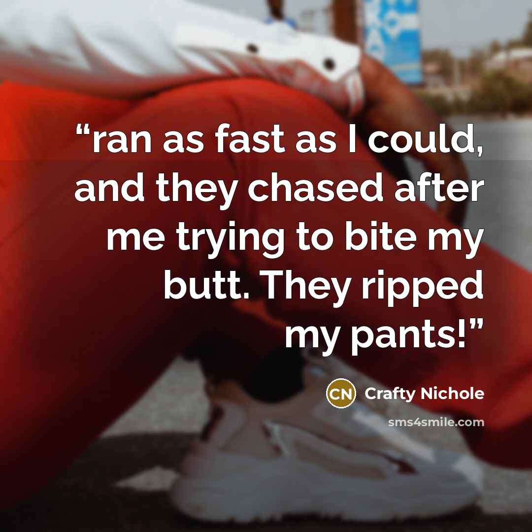 “ran as fast as I could, and they chased after me trying to bite my butt. They ripped my pants!” quote by Crafty Nichole