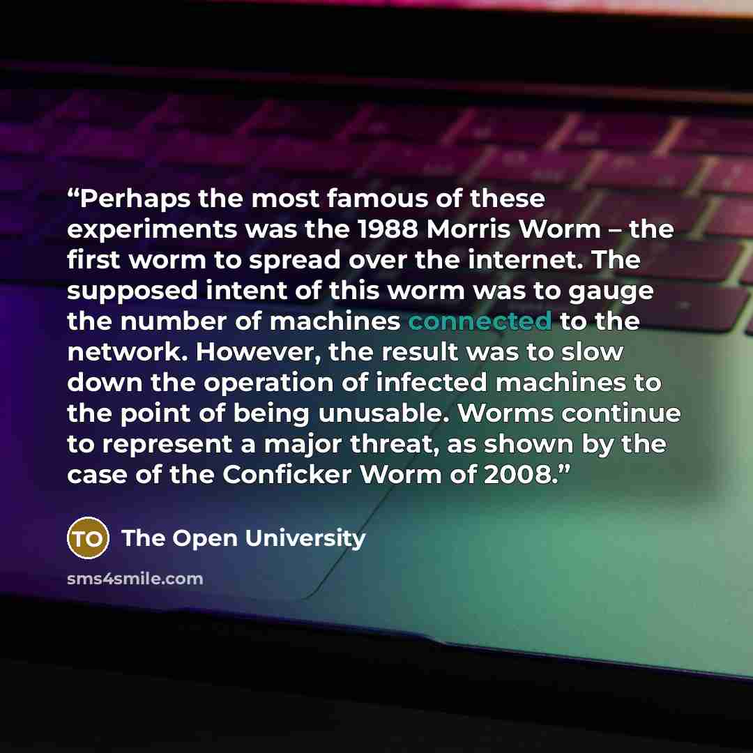 “Perhaps the most famous of these experiments was the 1988 Morris Worm – the first worm to spread over the internet. The supposed intent of this worm was to gauge the number of machines connected to the network. However, the result was to slow down the operation of infected machines to the point of…” quote by The Open University