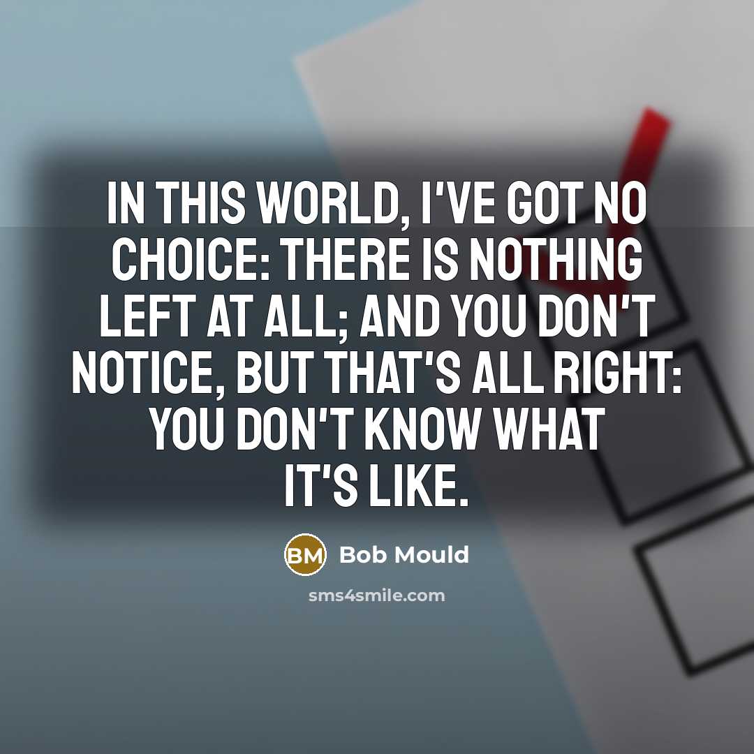“In this world, I've got no choice: there is nothing left at all; and you don't notice, but that's all right: you don't know what it's like.” quote by Bob Mould
