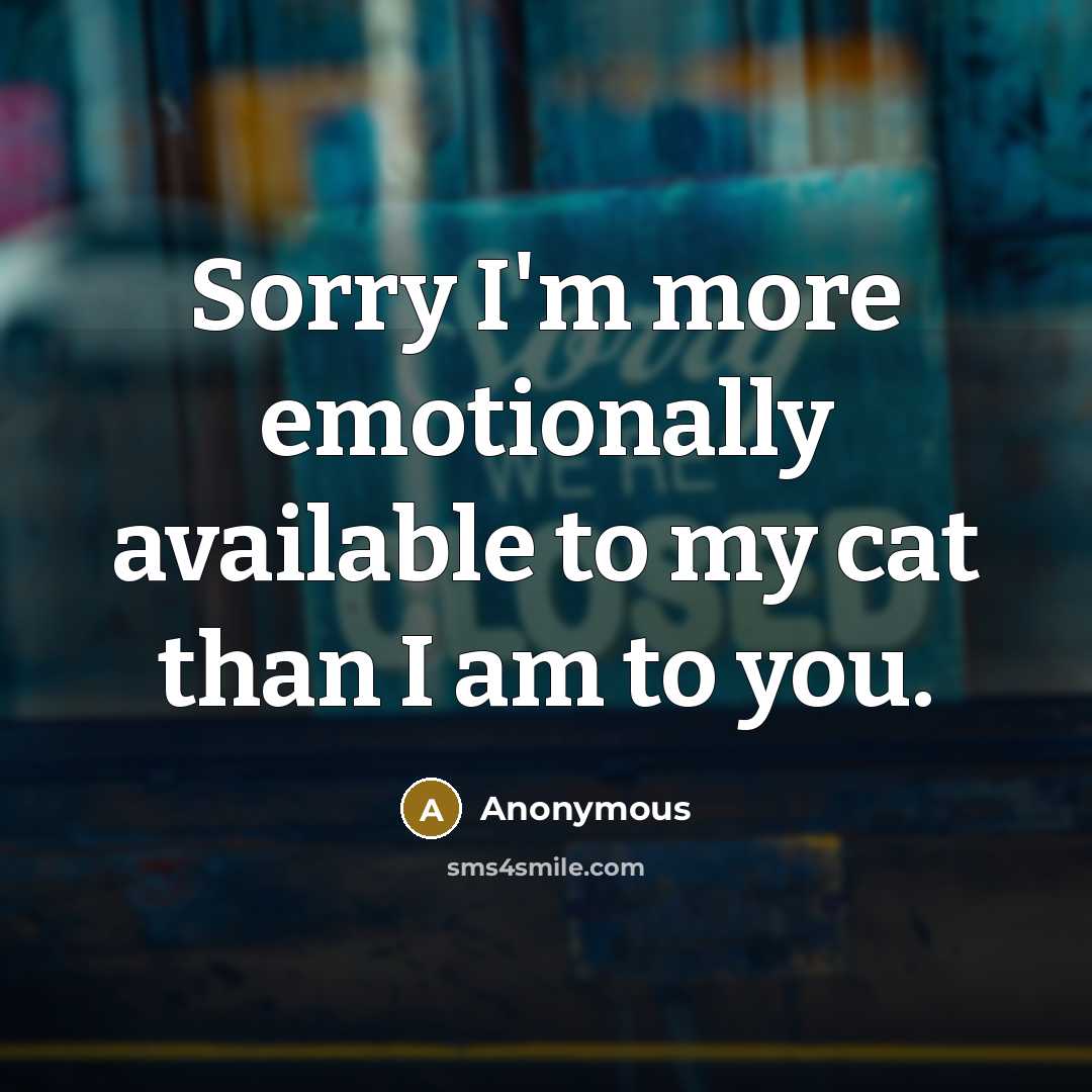 “Sorry I'm more emotionally available to my cat than I am to you.” quote by Anonymous
